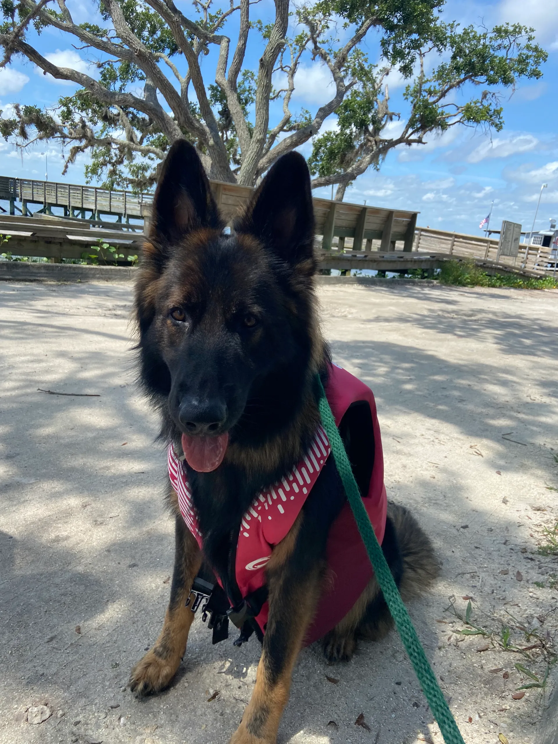 Release 180RX in Palm Coast, FL — photo 9