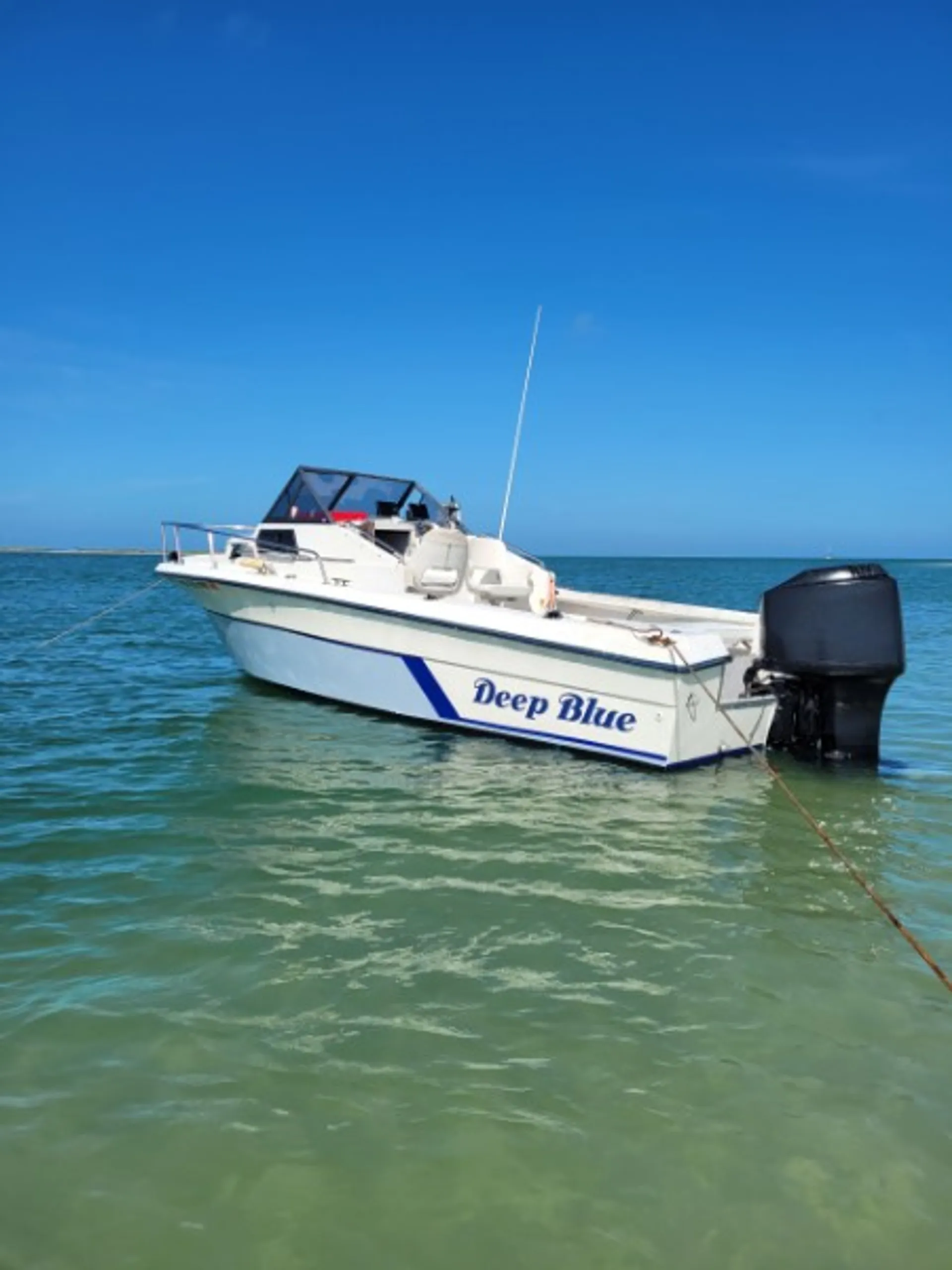 Angler Boats 220WA Horizon in Dover, FL — photo 3
