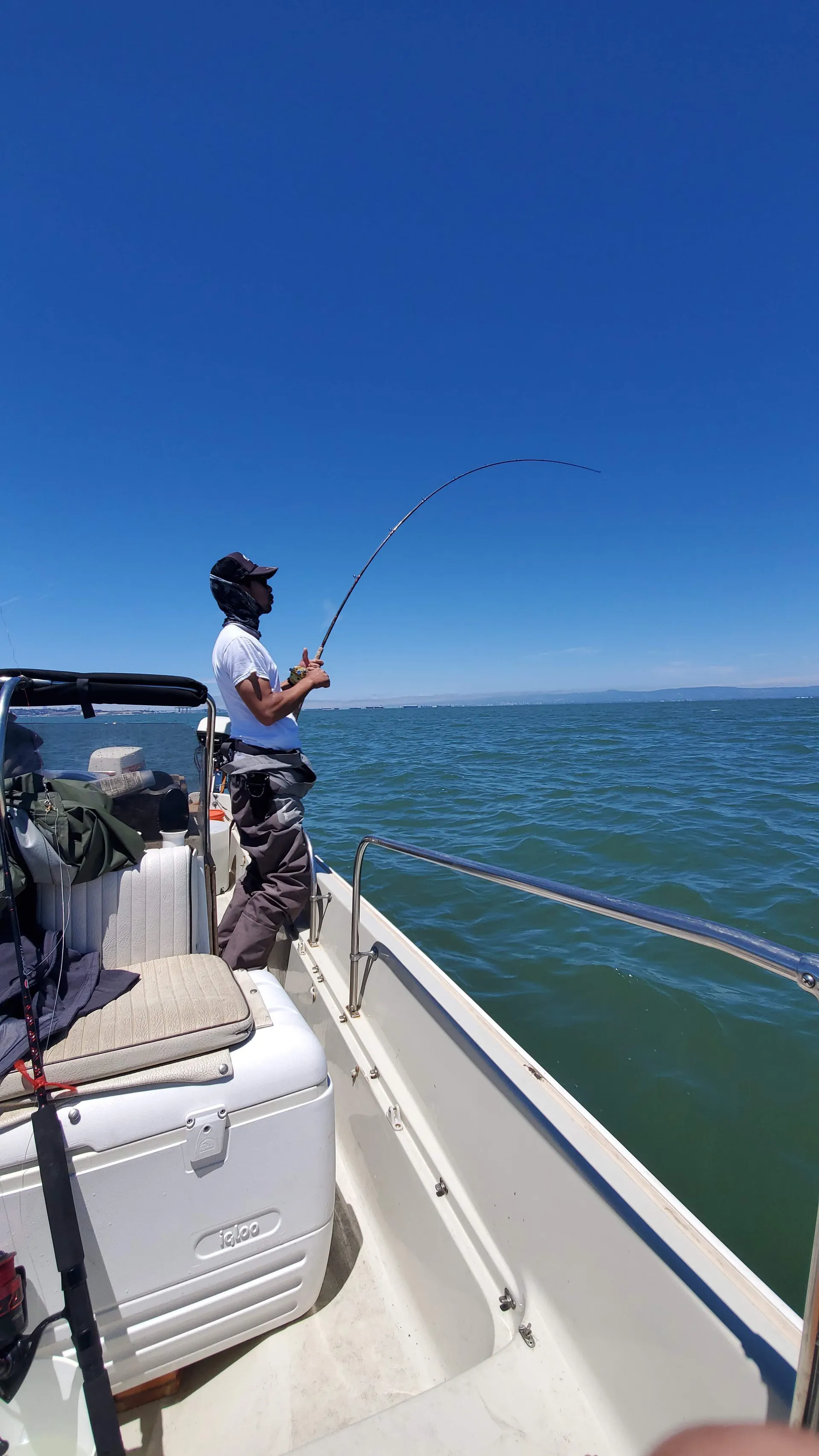 Boston Whaler 17 Montauk in San Francisco, CA — photo 10