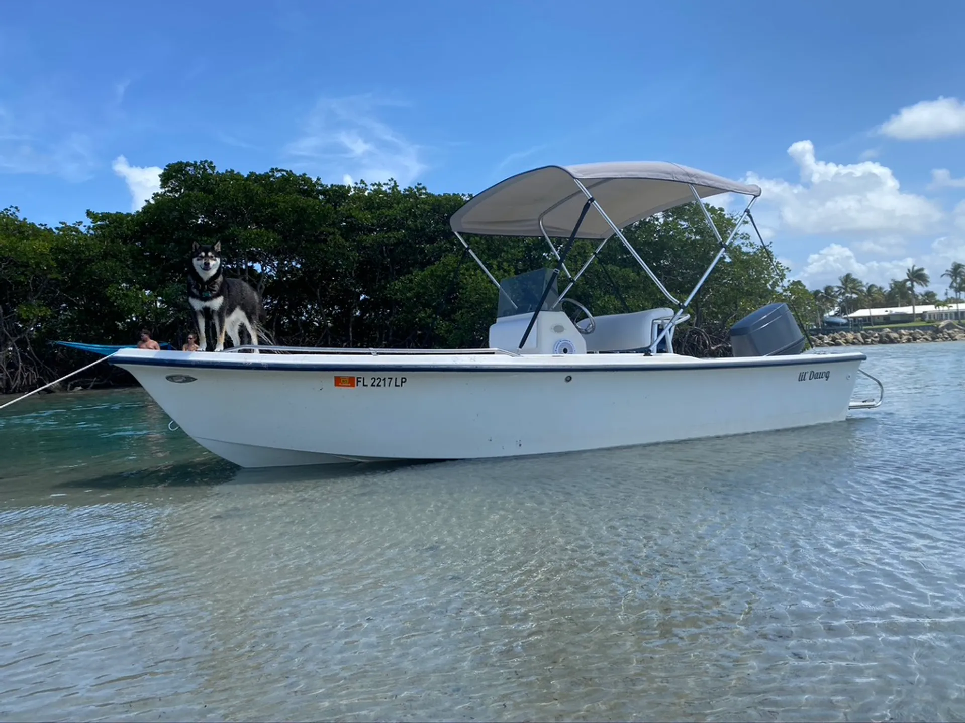boat