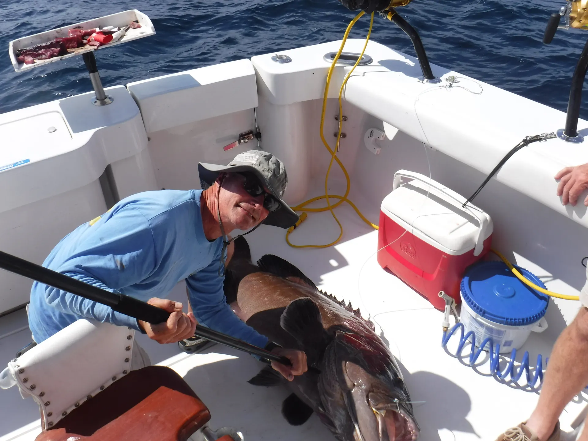 Enjoy the Fraiche Catch