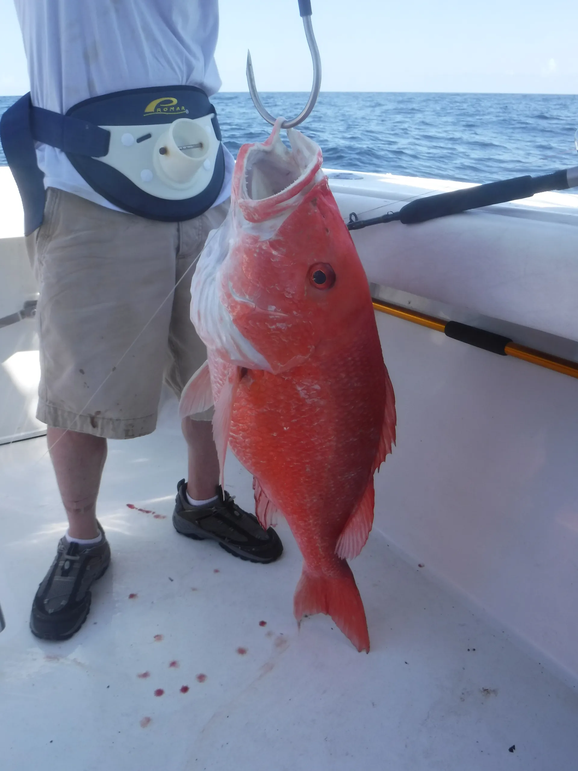 Enjoy the Fraiche Catch