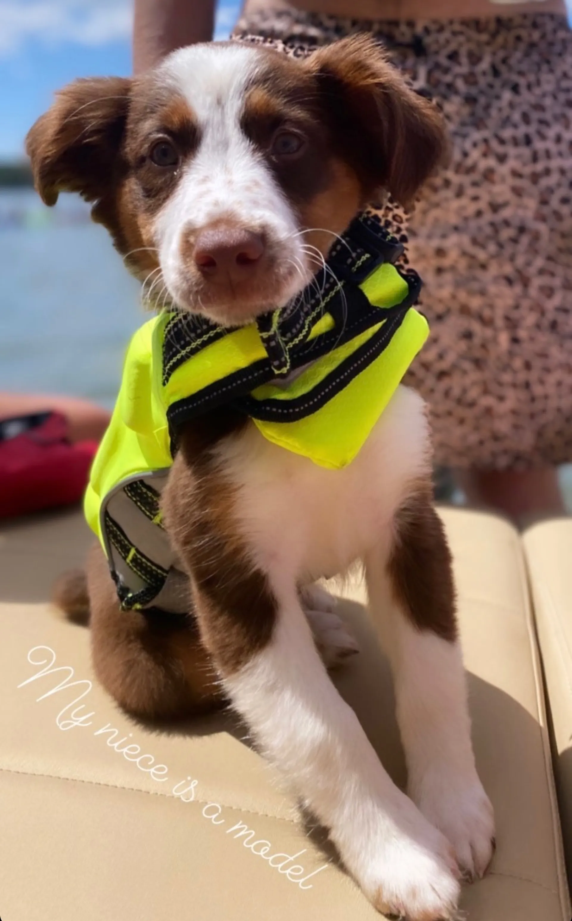 SUV of the Sea's - 38' Luxury Adventure Boat - #1 Boat on Boatsetter