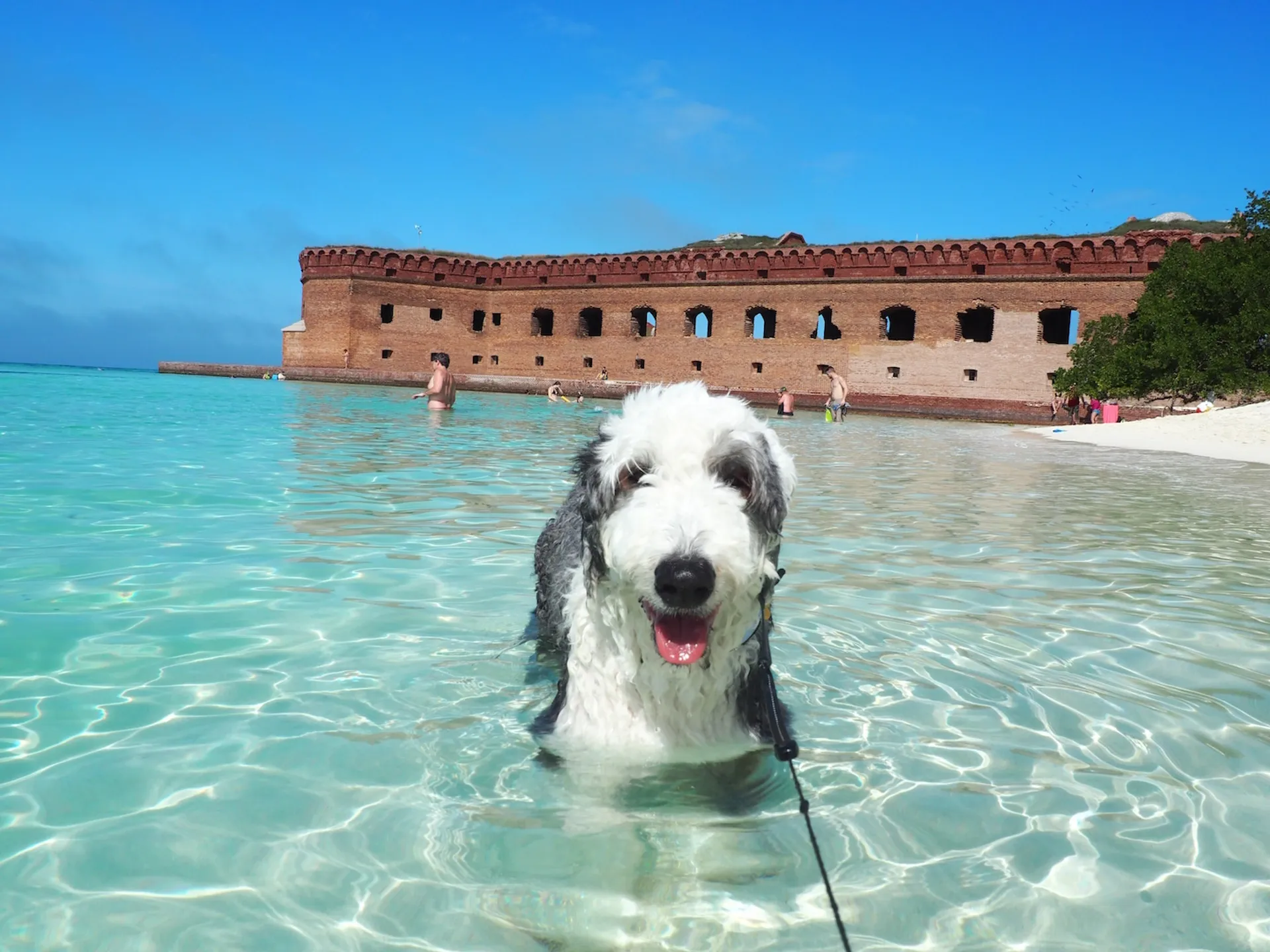 SUV of the Seas - Ultra Luxury Adventure Boat: Rated #1 Boat Key West