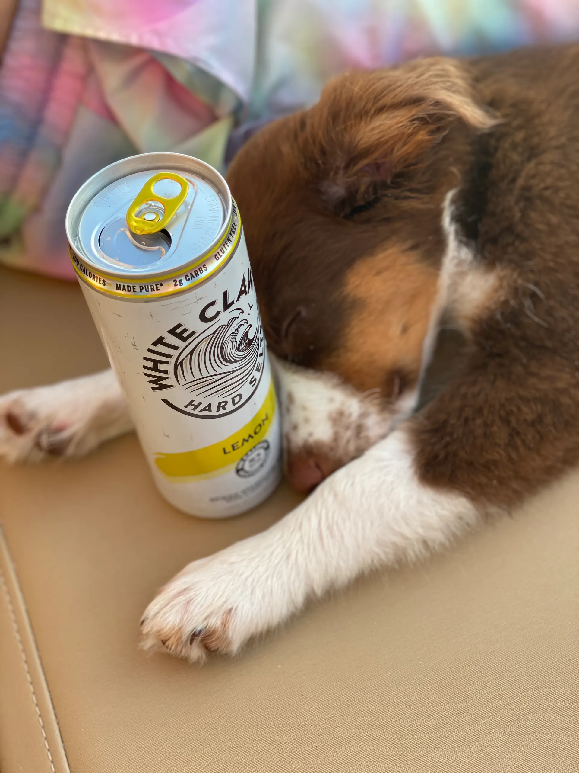 SUV of the Seas - Ultra Luxury Adventure Boat: Rated #1 Boat Key West