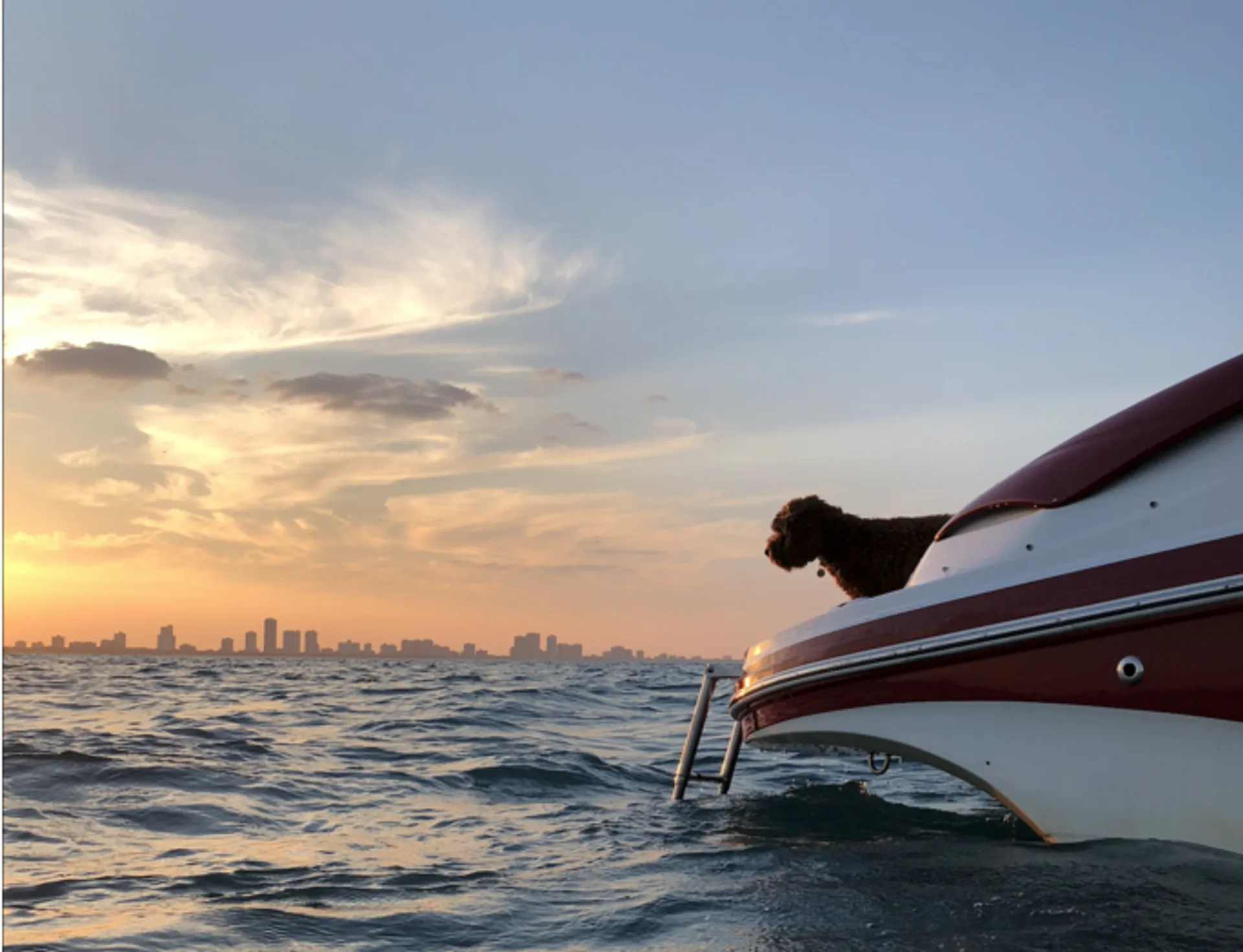 Rinker Boats 276 Captiva Cuddy in New Buffalo, MI — photo 10