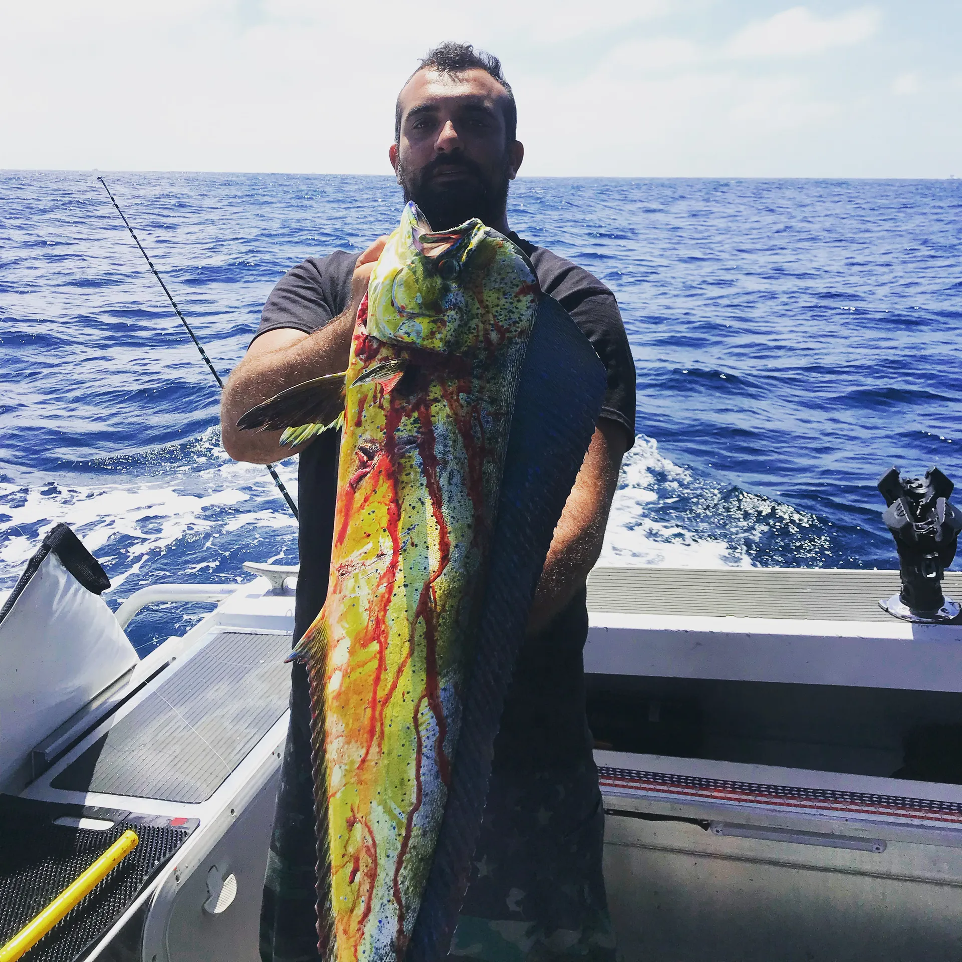 Stabicraft 2570 Super Cab in Newport Beach, CA — photo 3