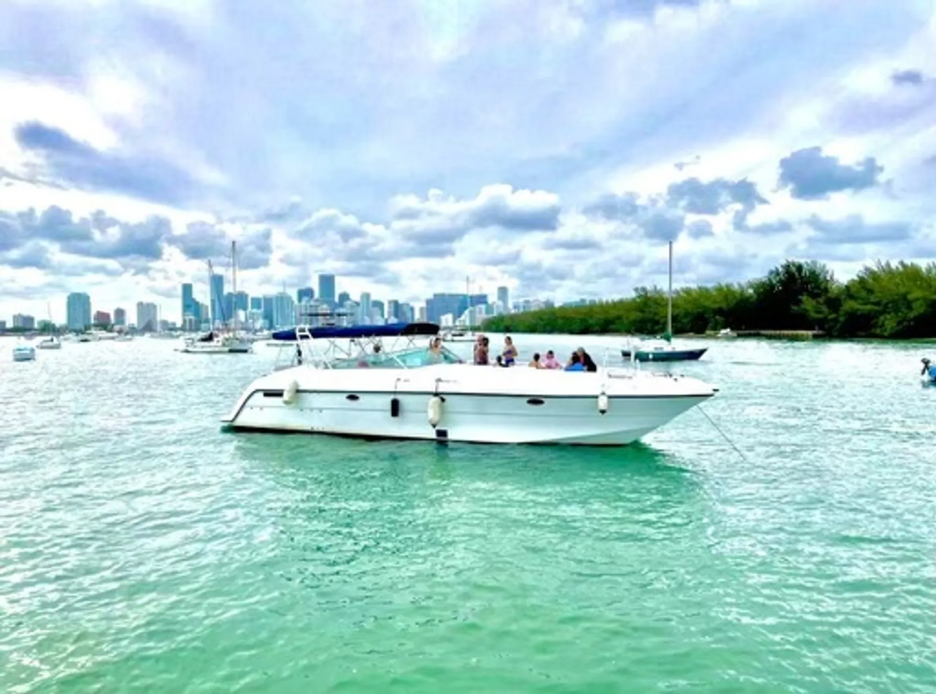 Cooper 52 in North Miami Beach, FL — photo 2