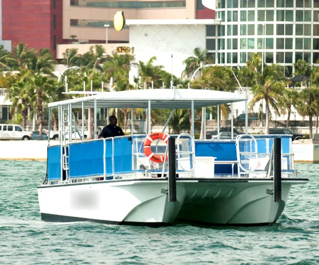 Rent a The Beach Lady pontoon in Miami, FL near me
