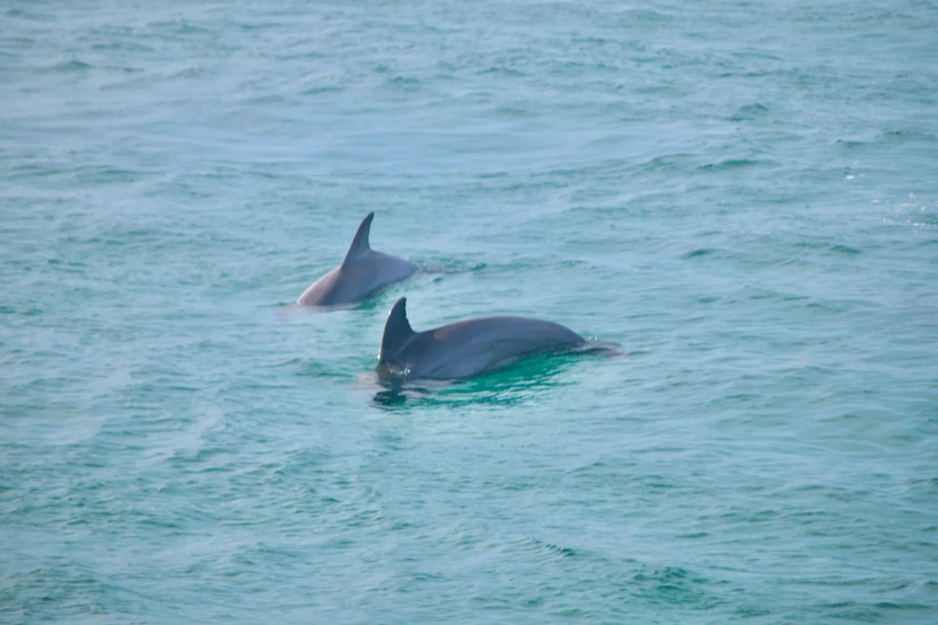 Yacht in Style! - Aboard The Private Yacht "Miss B Haven"