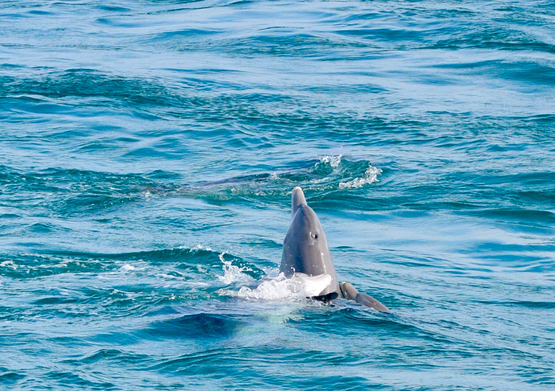 Yacht in Style! - Aboard The Private Yacht "Miss B Haven"