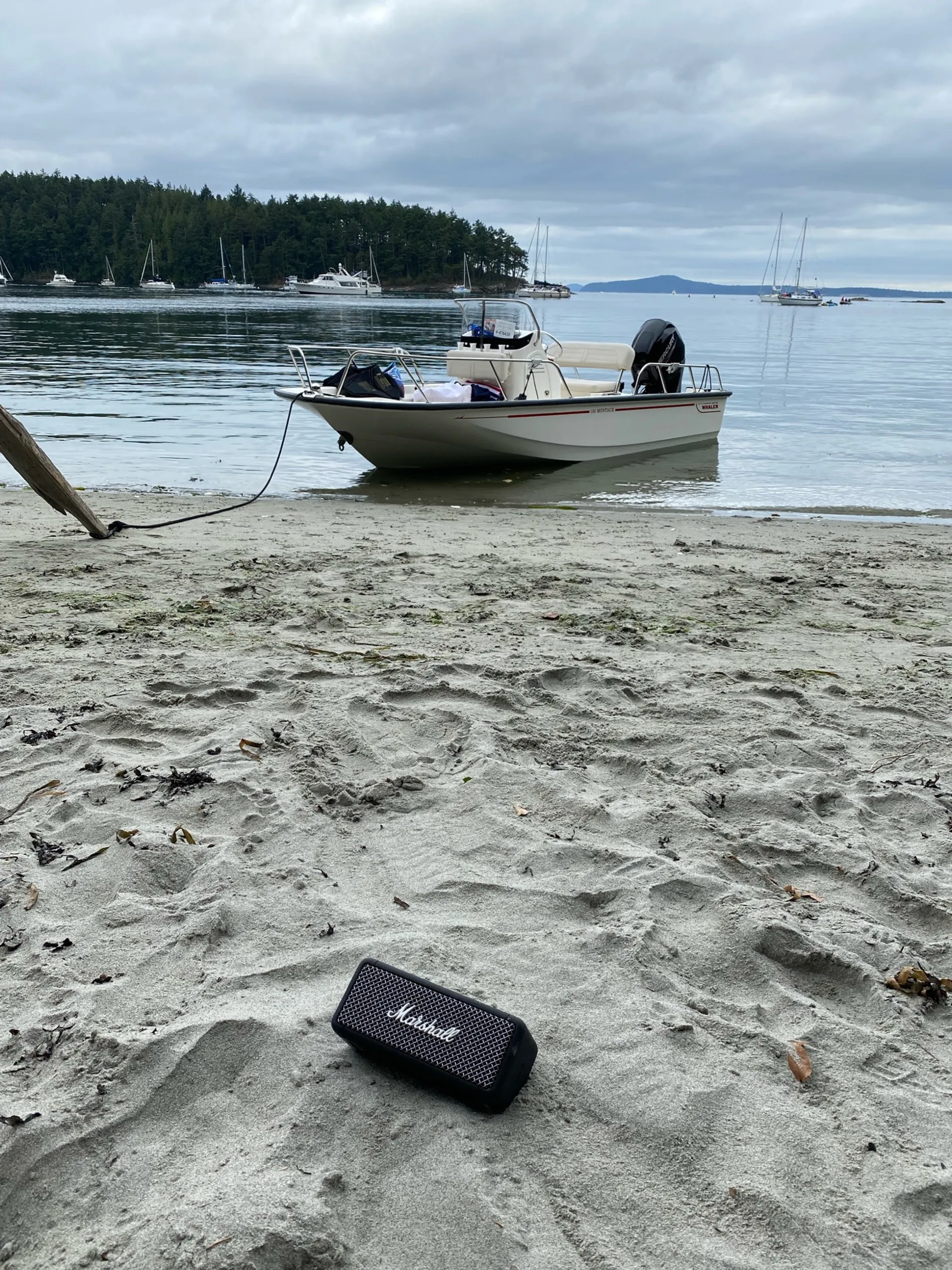 BOSTON WHALER 150 MONTAUK in Seattle, WA — photo 7