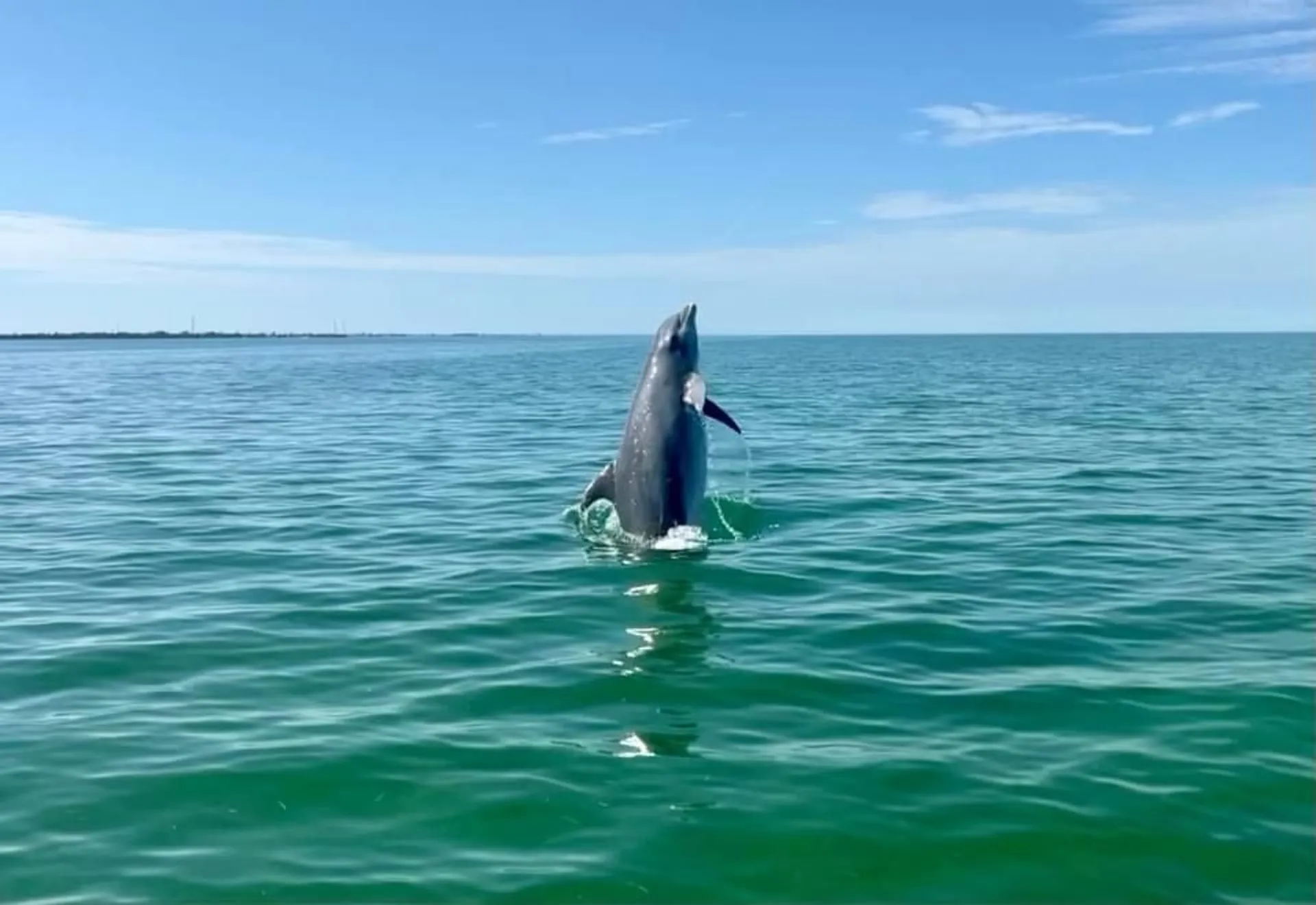 Twin Vee with Charter Captain! Snorkeling, Fishing, Sandabars, Sunsets
