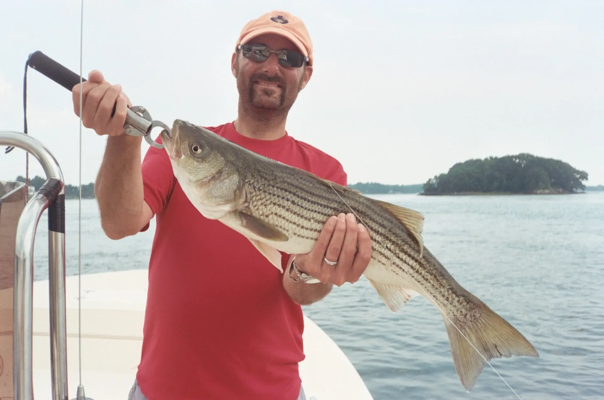 Cruising &amp; Sightseeing or Striper Fishing