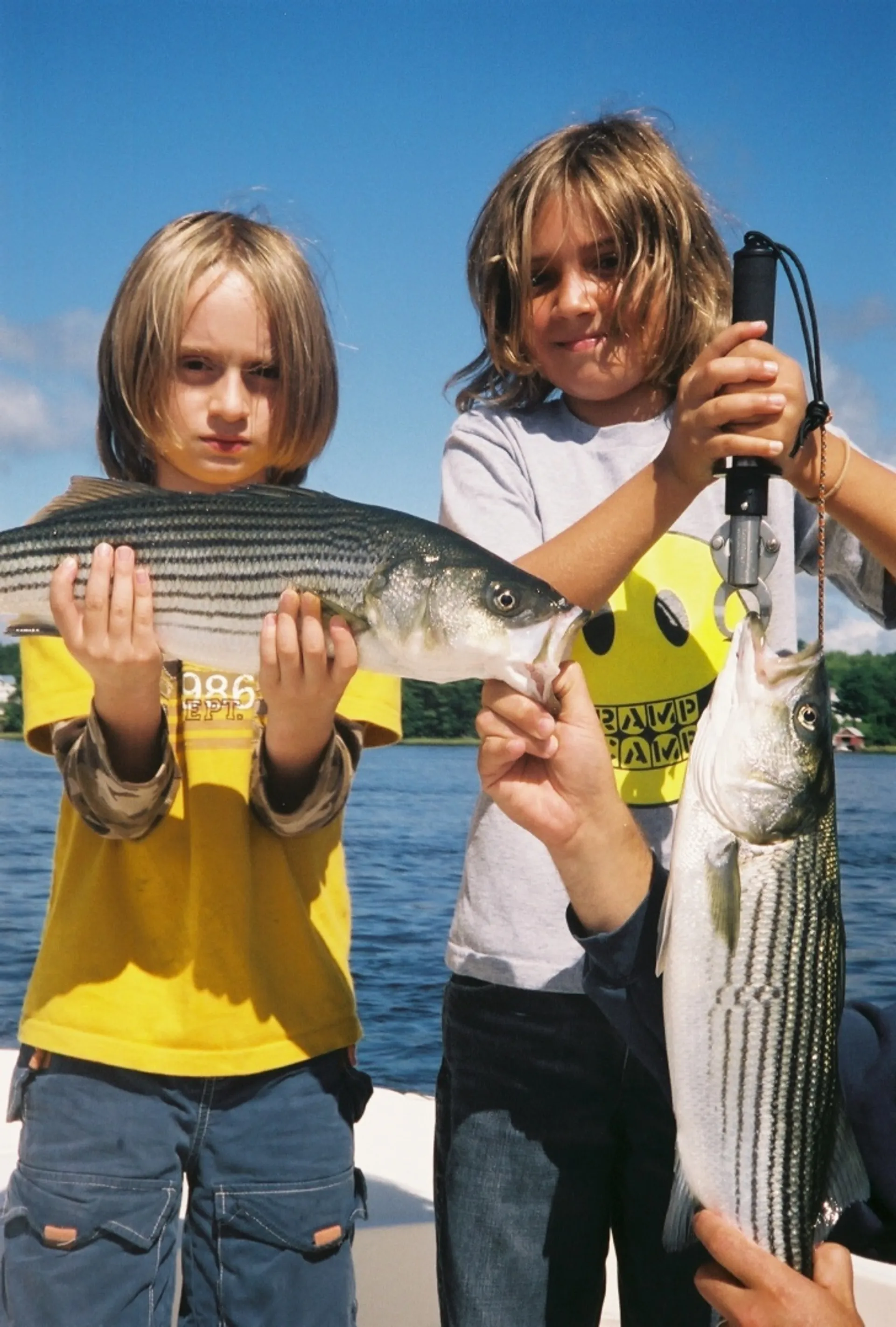 Cruising &amp; Sightseeing or Striper Fishing