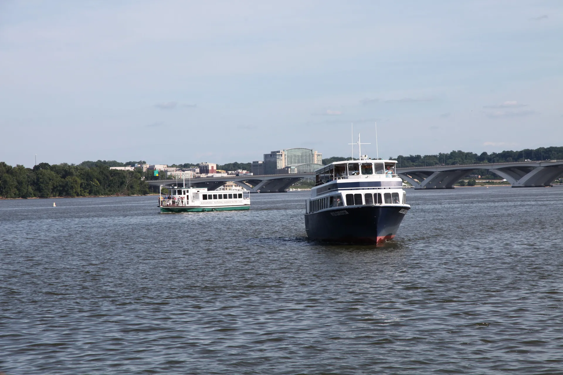 Miss Christin Vessel in Washington, DC — photo 4