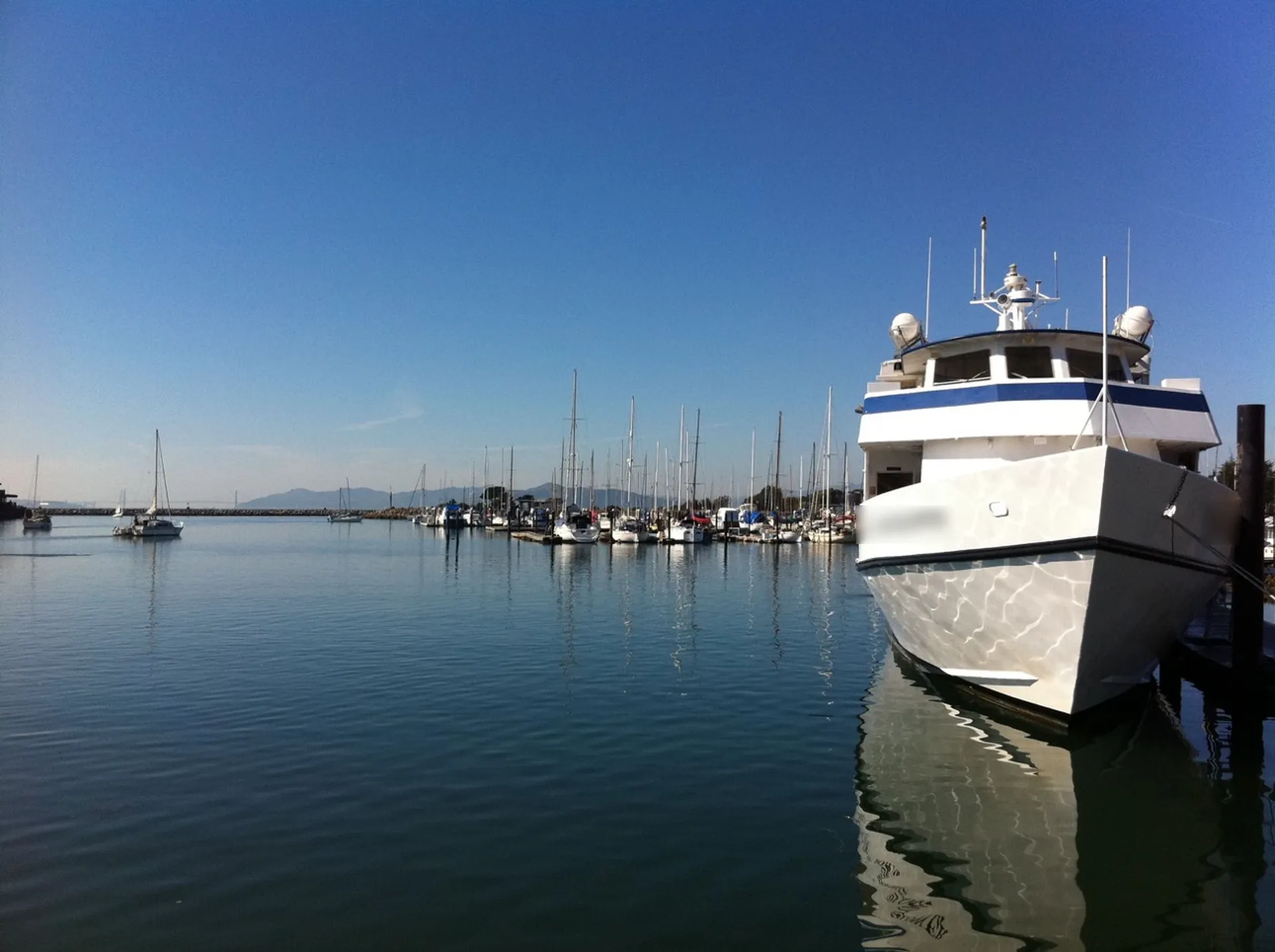 Pacific Hornblower Vessel in San Francisco, CA — photo 3