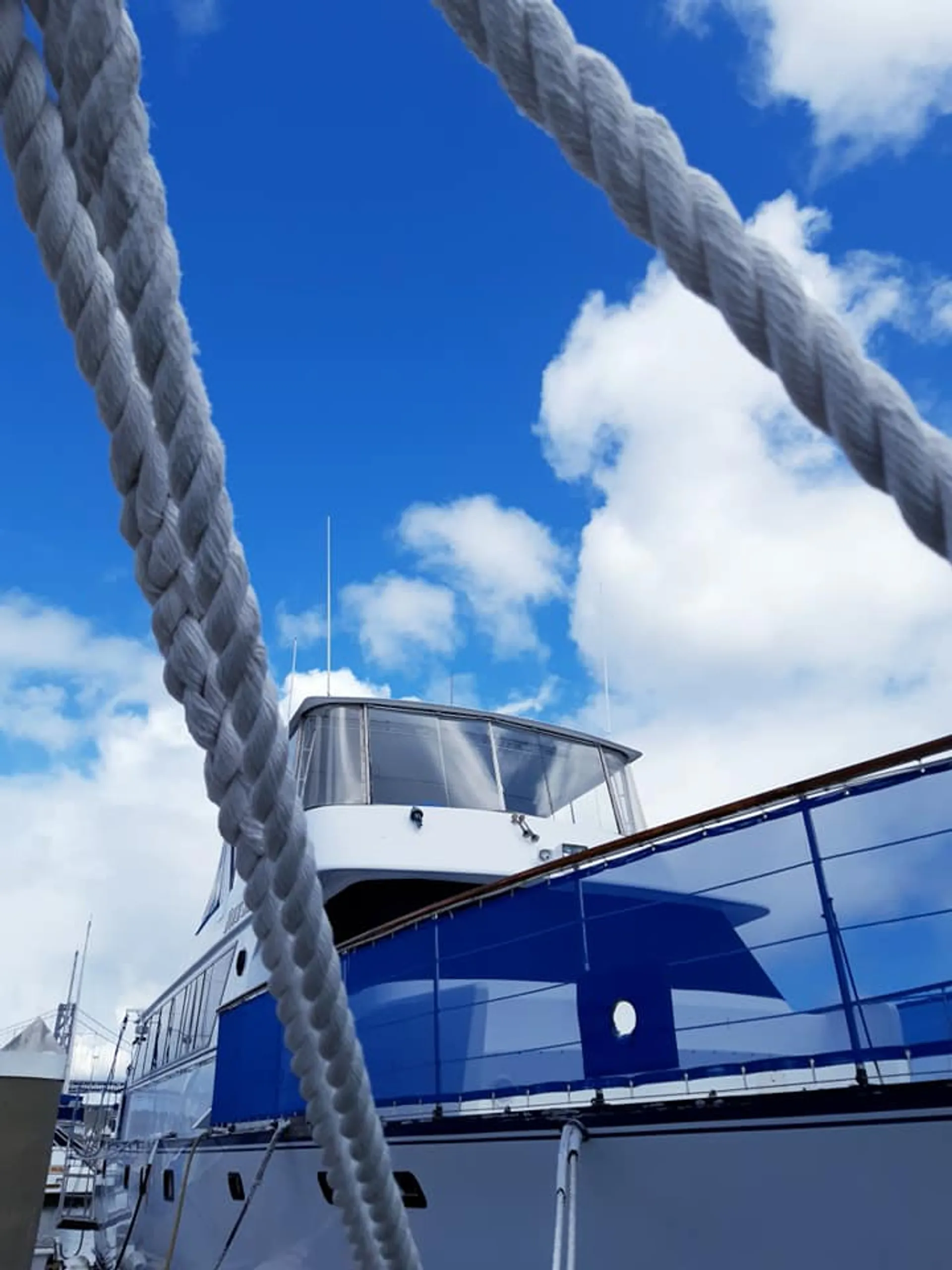 Five Stars Yacht 75’ Custom Built in Sausalito, CA — photo 4