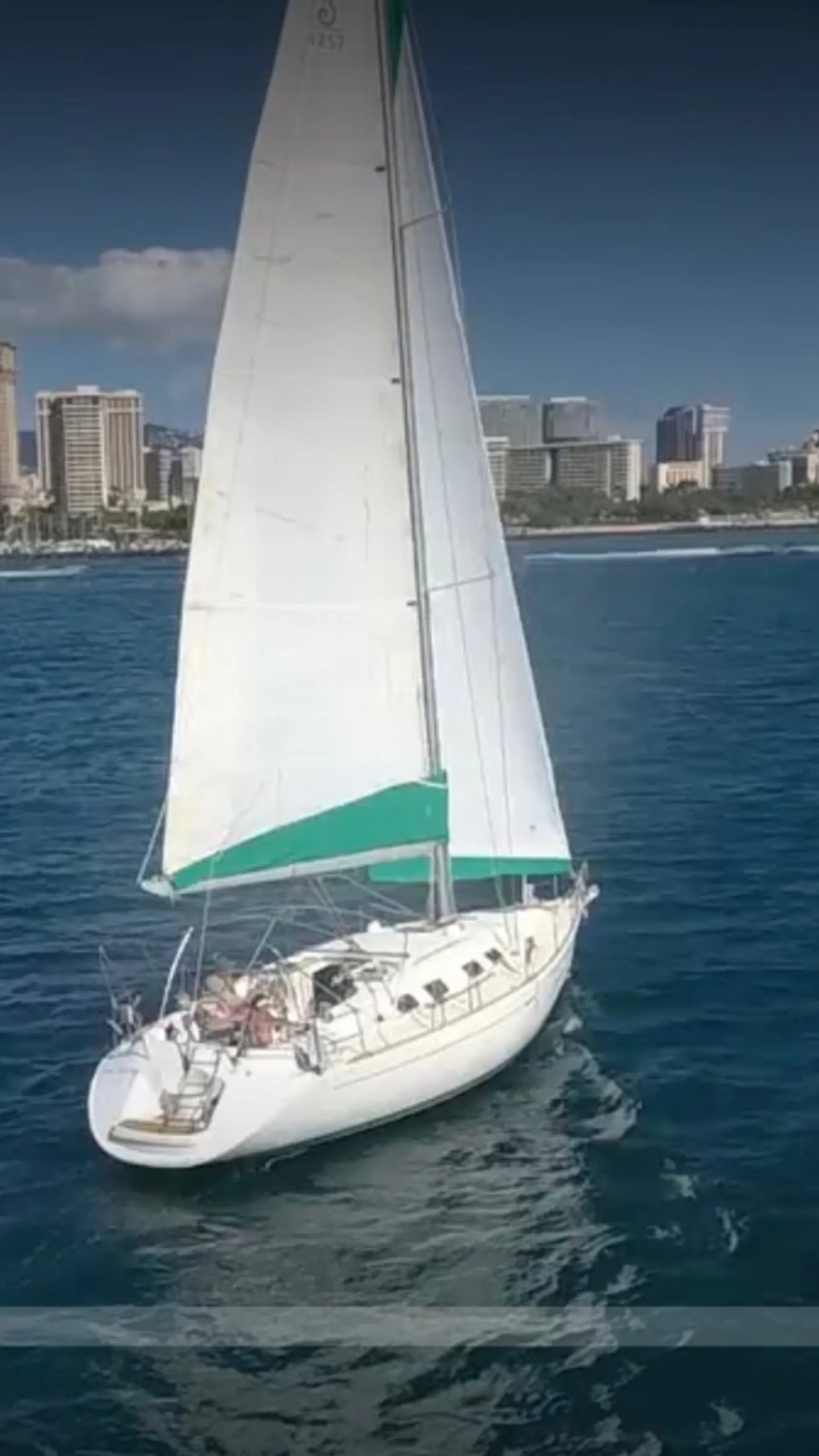 See turtles and Snorkel on a Private Luxury Yacht!