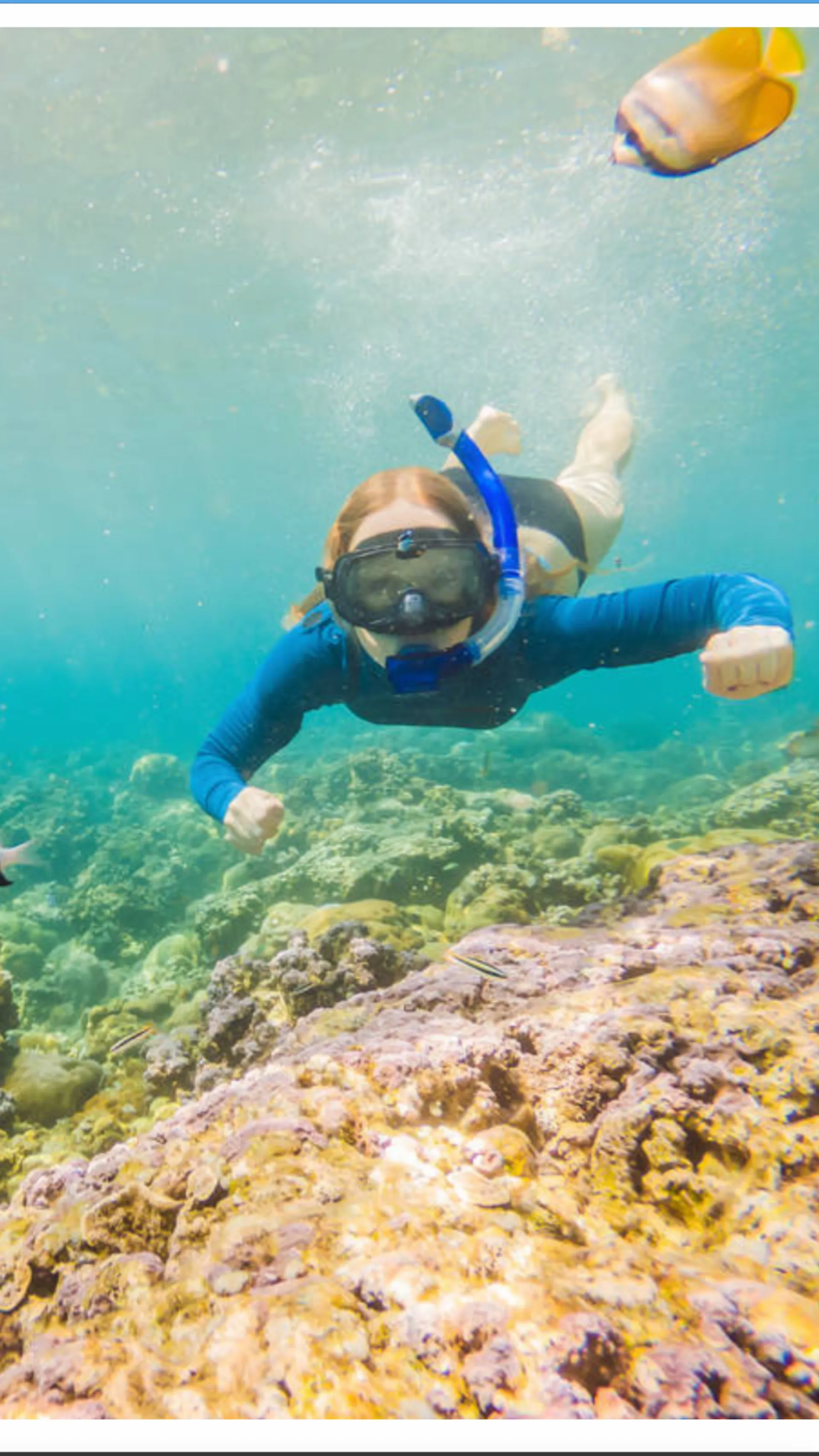 See turtles and Snorkel on a Private Luxury Yacht!