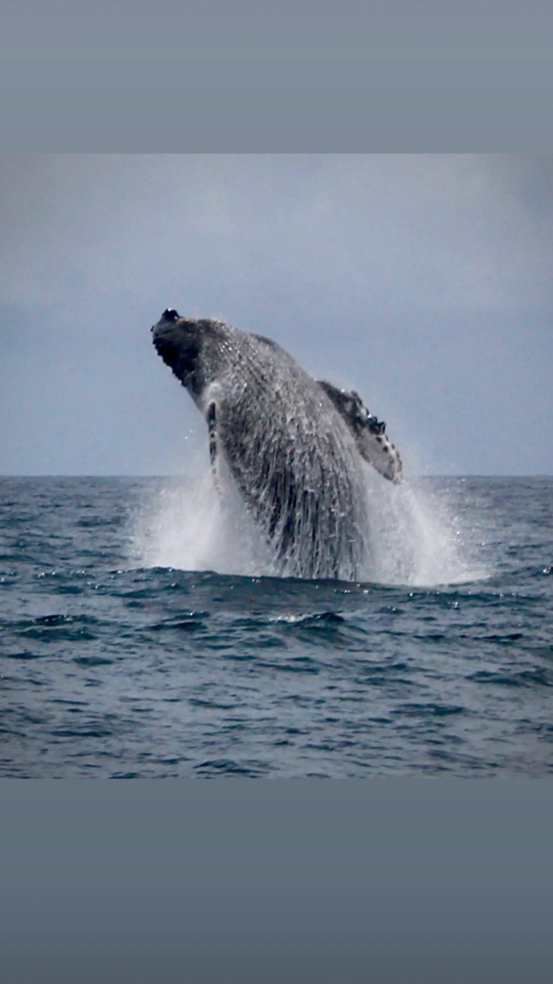 Private Yacht , just you and your people.       BOOK NOW!