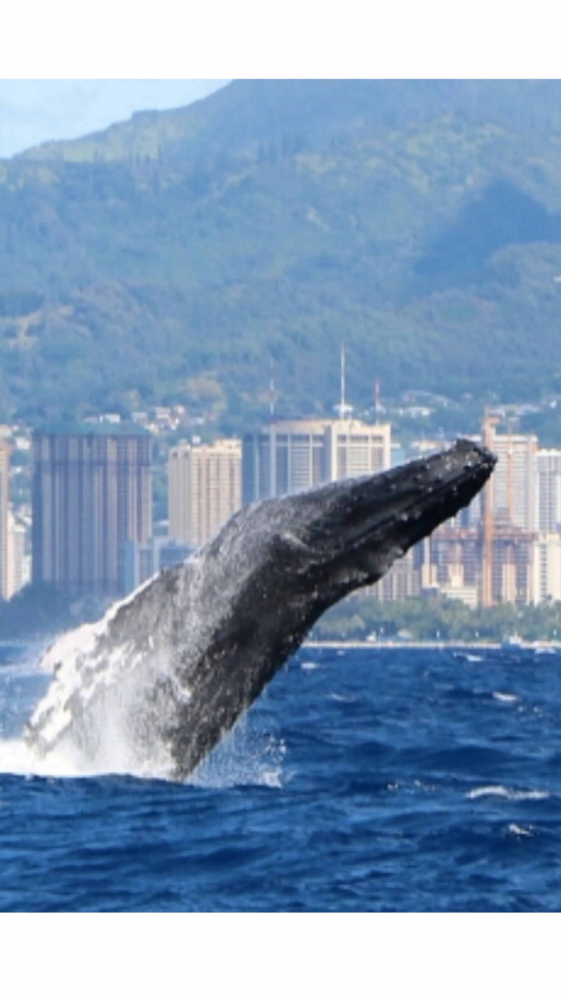 Private Yacht , just you and your people.       BOOK NOW!