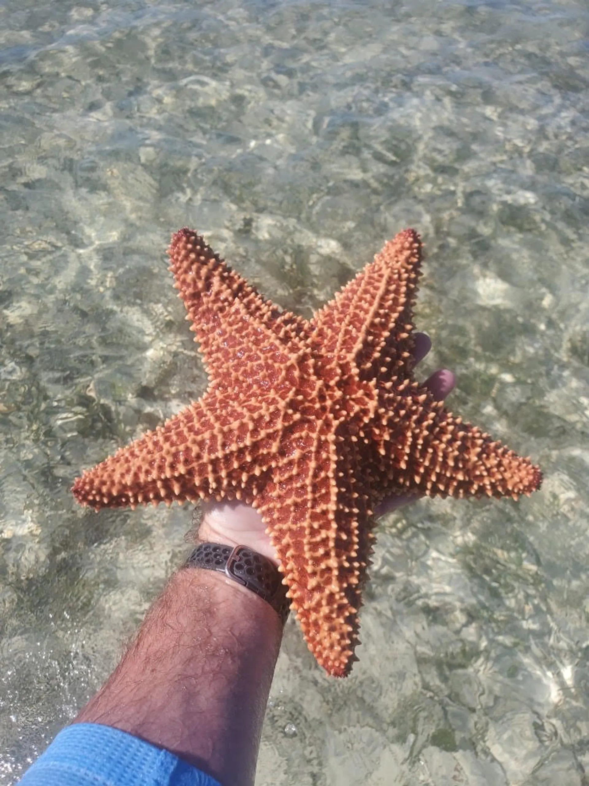 Twin Vee with Charter Captain! Snorkeling, Fishing, Sandabars, Sunsets
