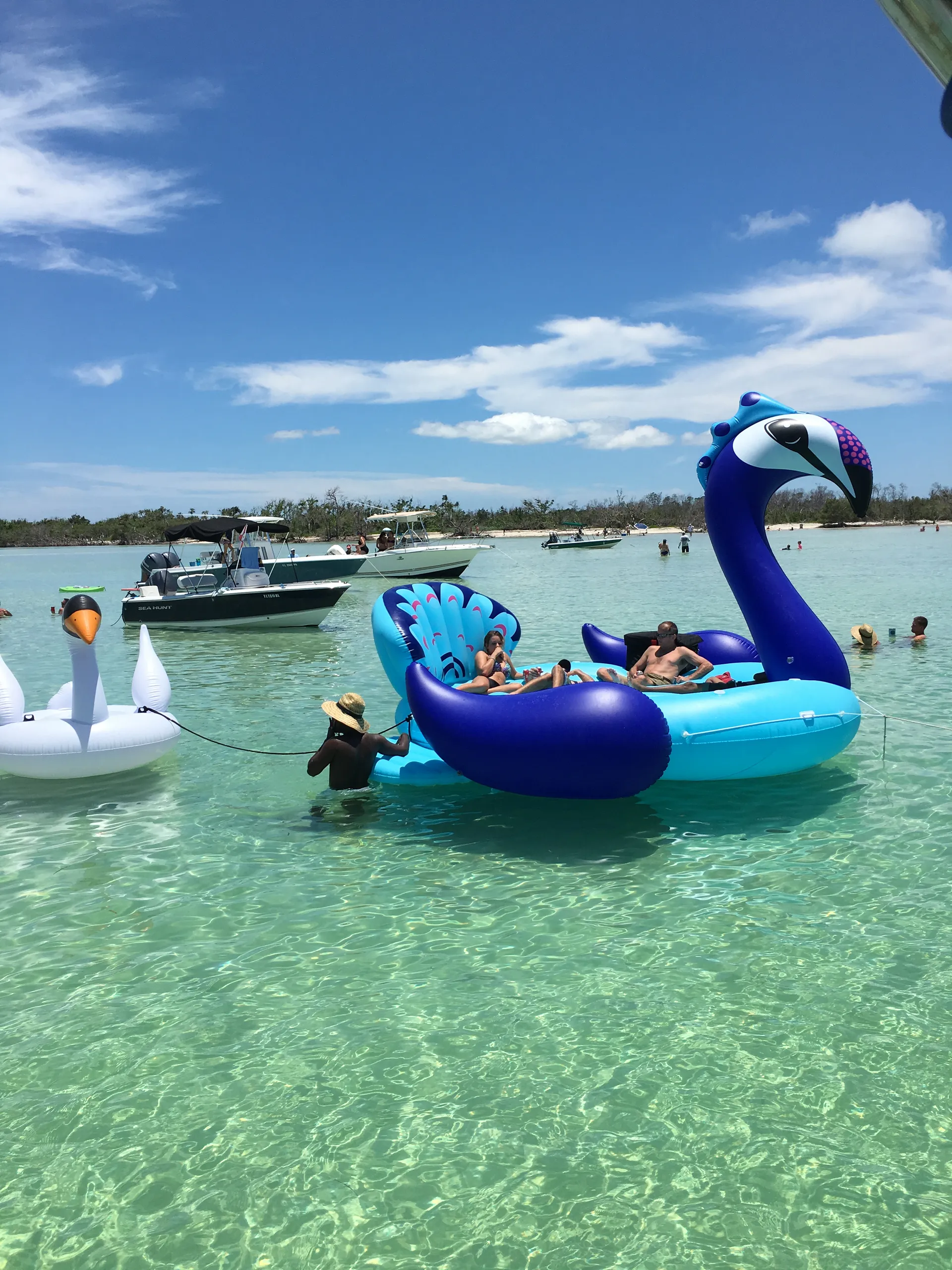 Private Sandbar Charters🌞