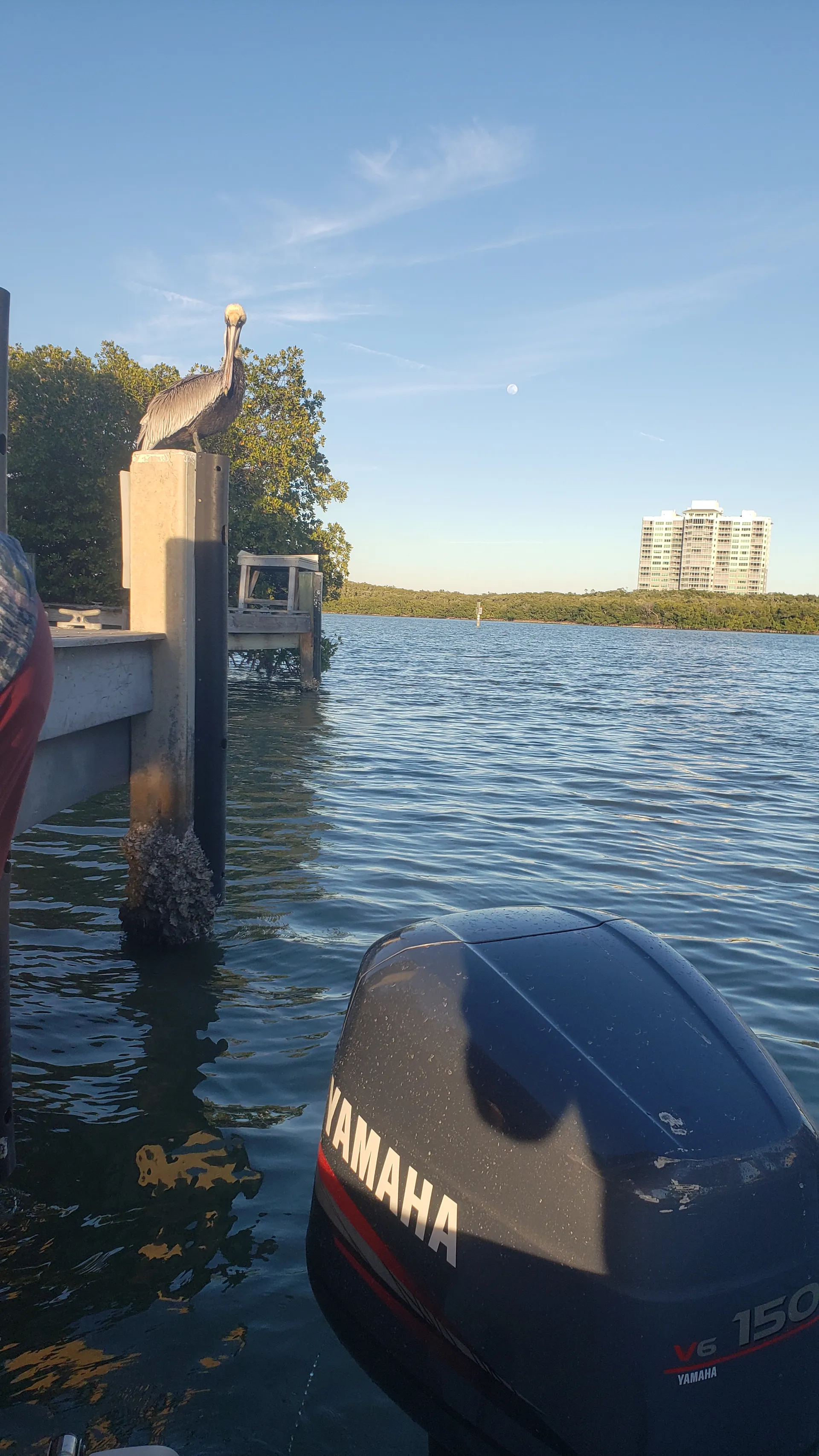 Godfrey Marine Hurricane in Naples, FL — photo 10