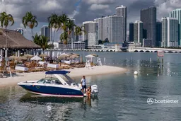 Breathtaking Skyline Boat Tour Day&Night -No hidden fee-