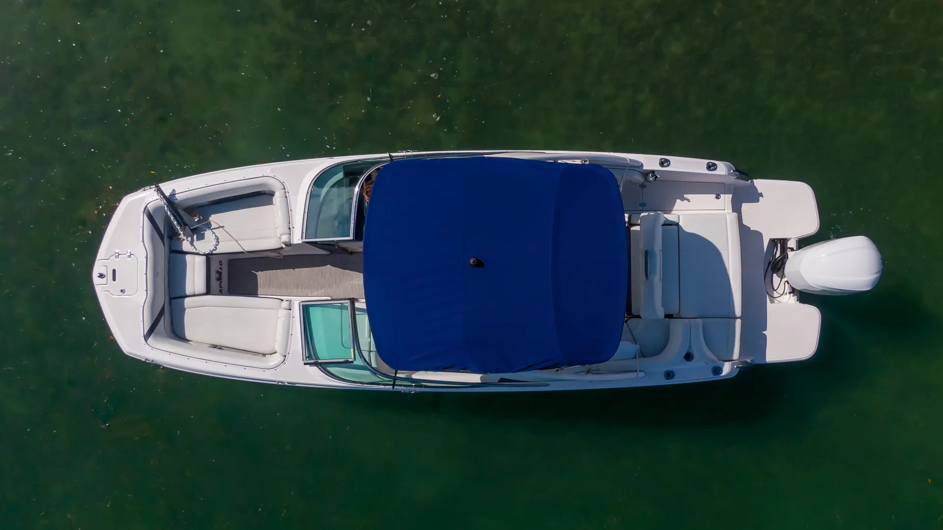 Breathtaking Skyline Boat Tour Day&Night -No hidden fee-