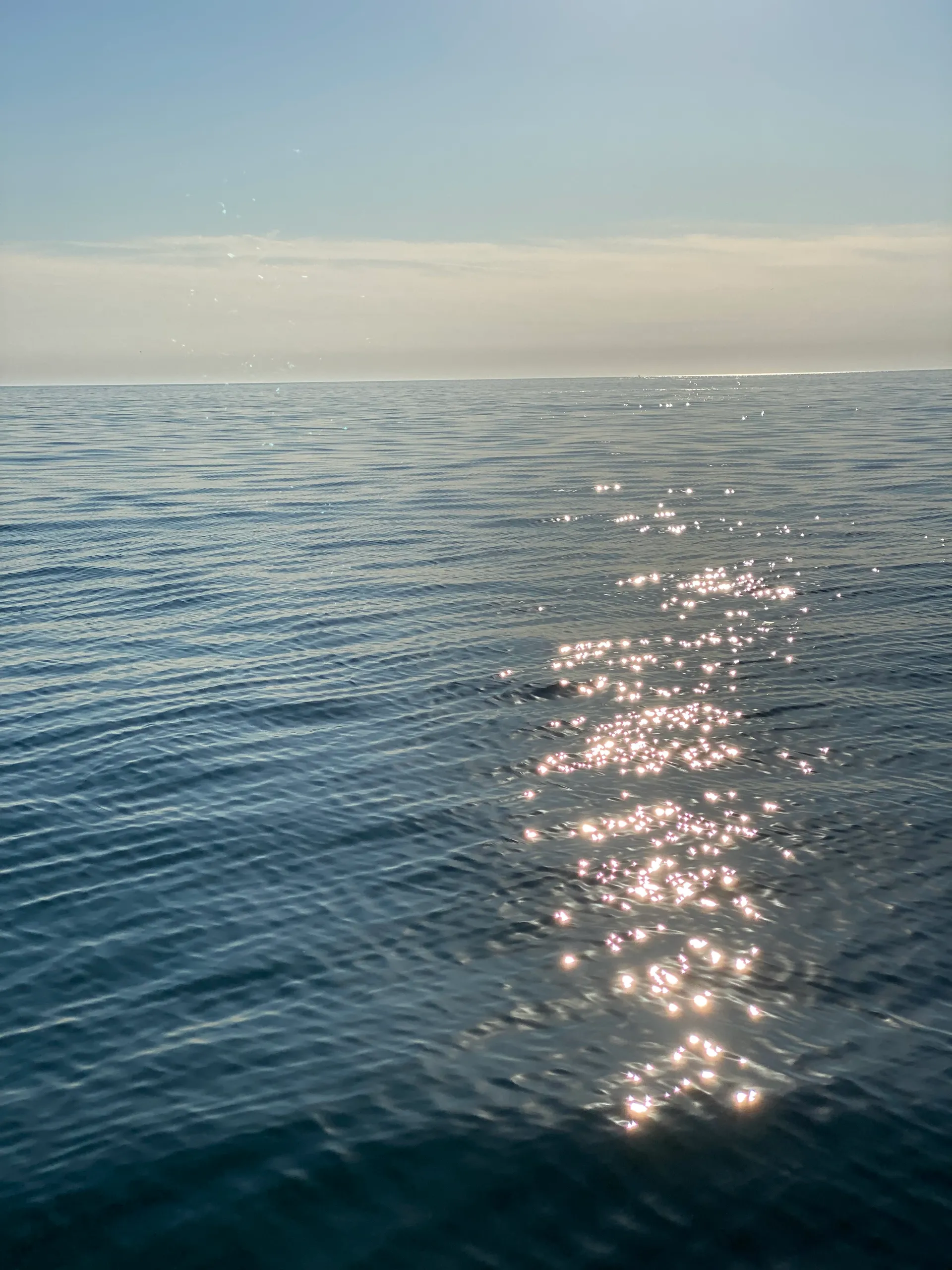 Sea Ray Boats Other in Muskegon, MI — photo 9