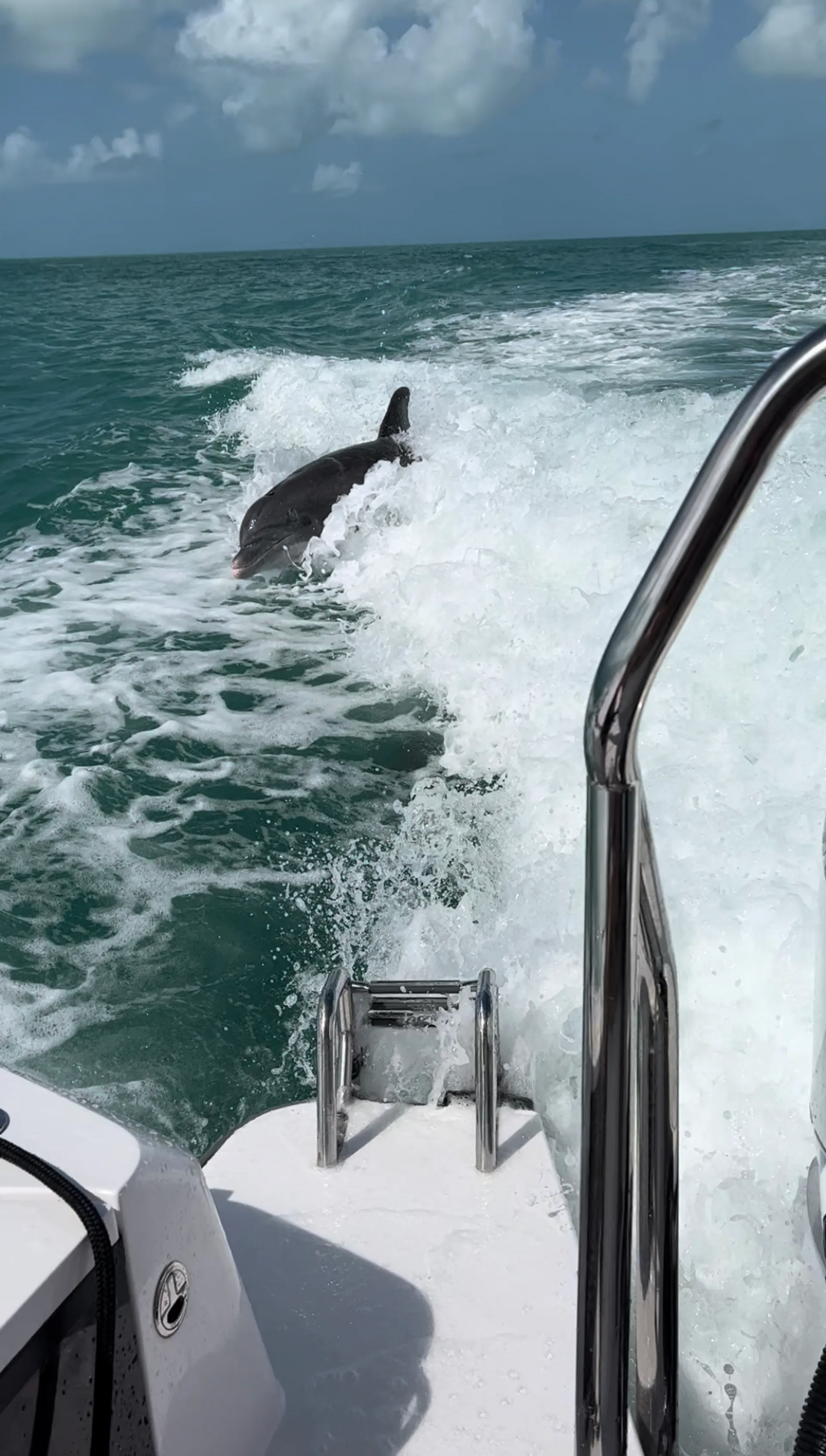 SUV of the Sea's - 38' Luxury Adventure Boat - #1 Boat on Boatsetter