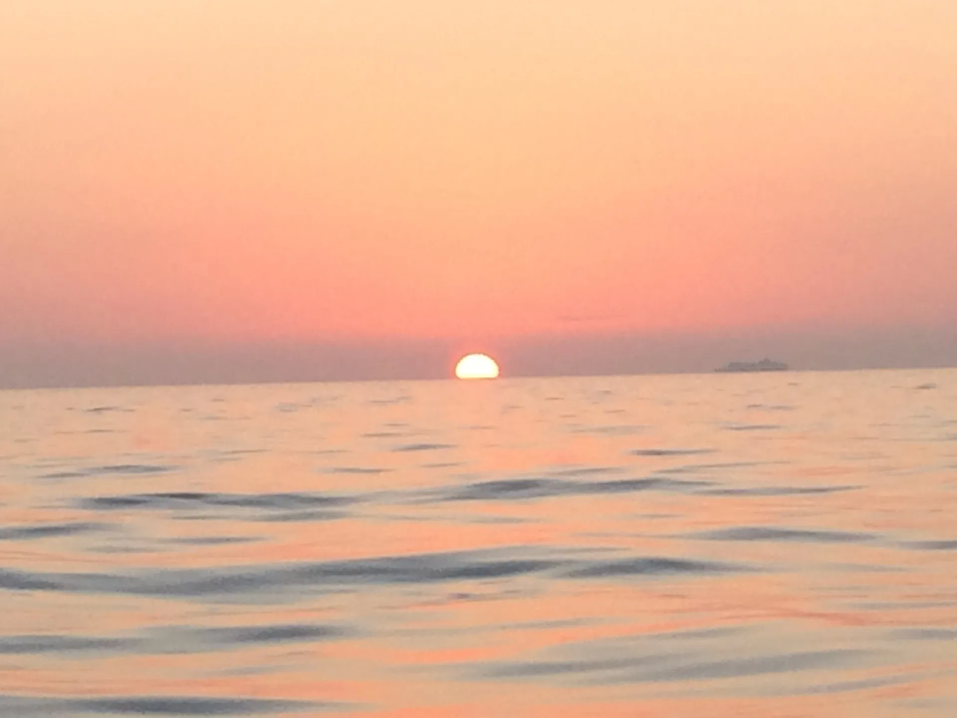 Private Sandbar Charters🌞