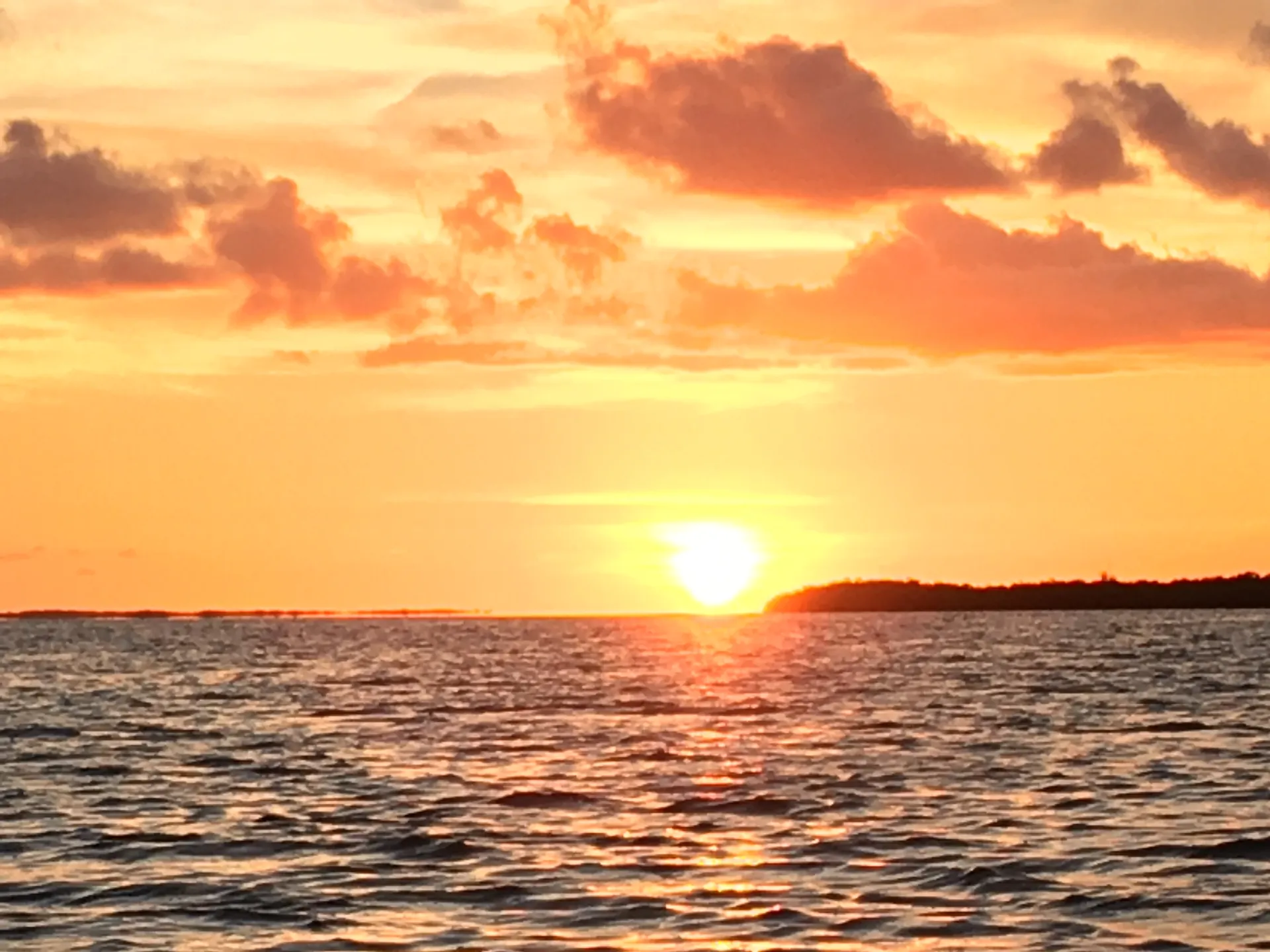 Private Sandbar Charters🌞