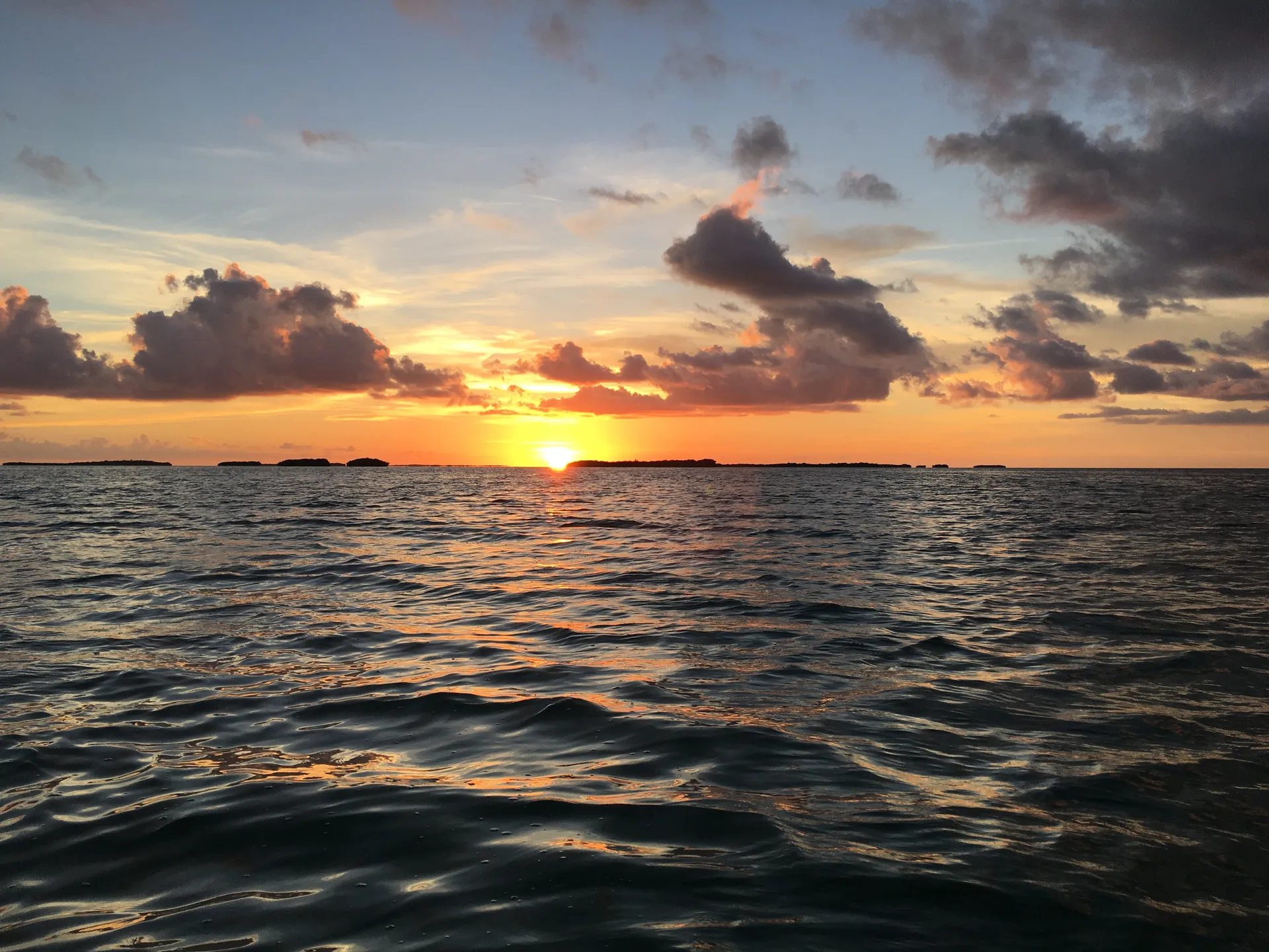 Private Sandbar Charters🌞