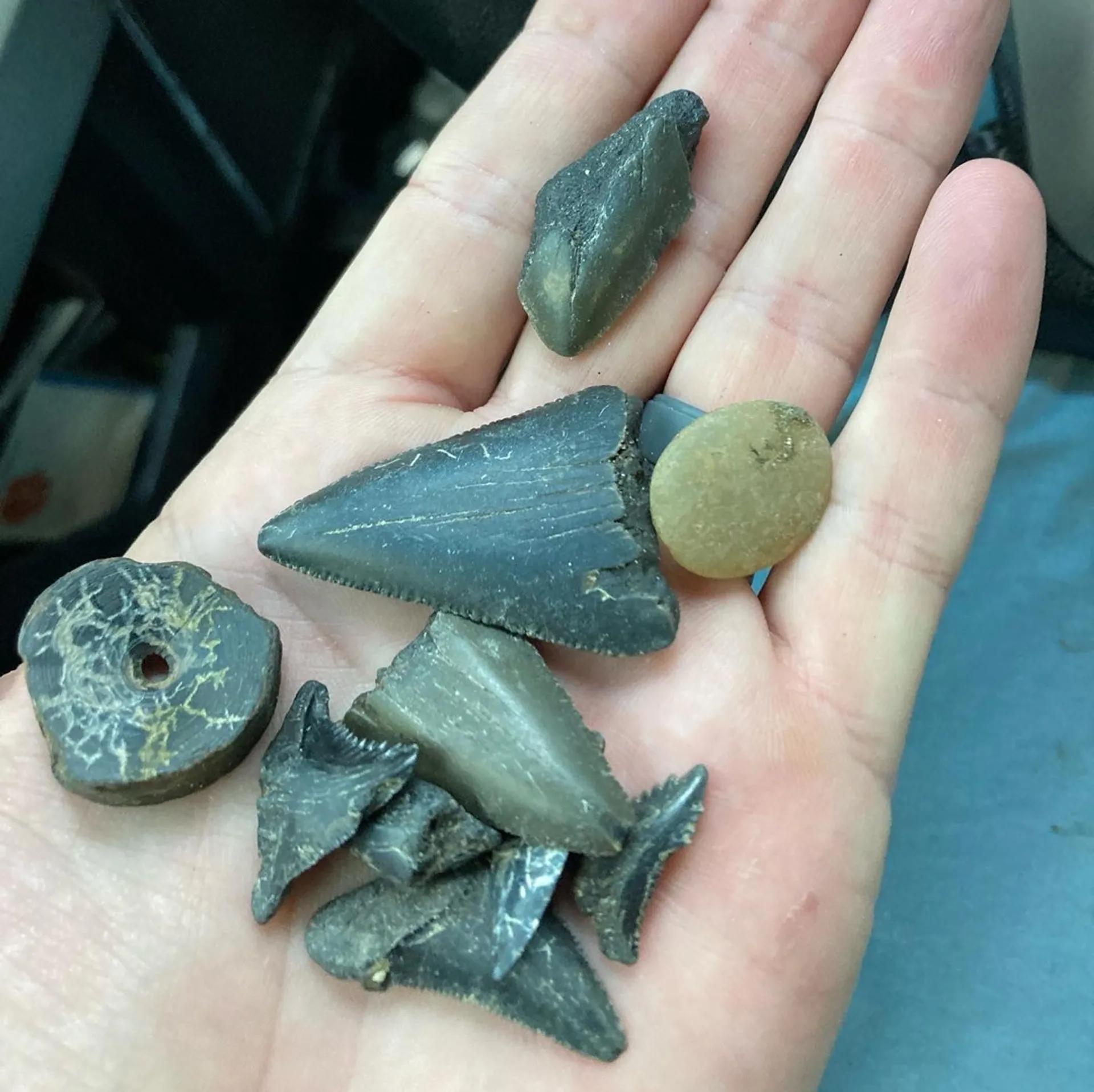 2023 27' Pathfinder for Captained Charters!