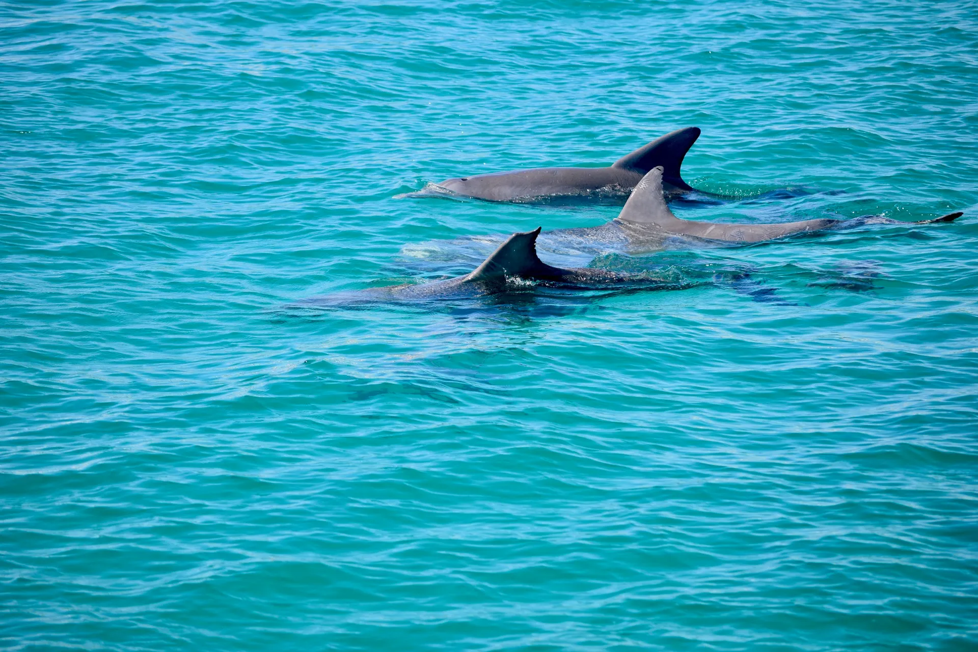 Yacht in Style! - Aboard The Private Yacht "Miss B Haven"