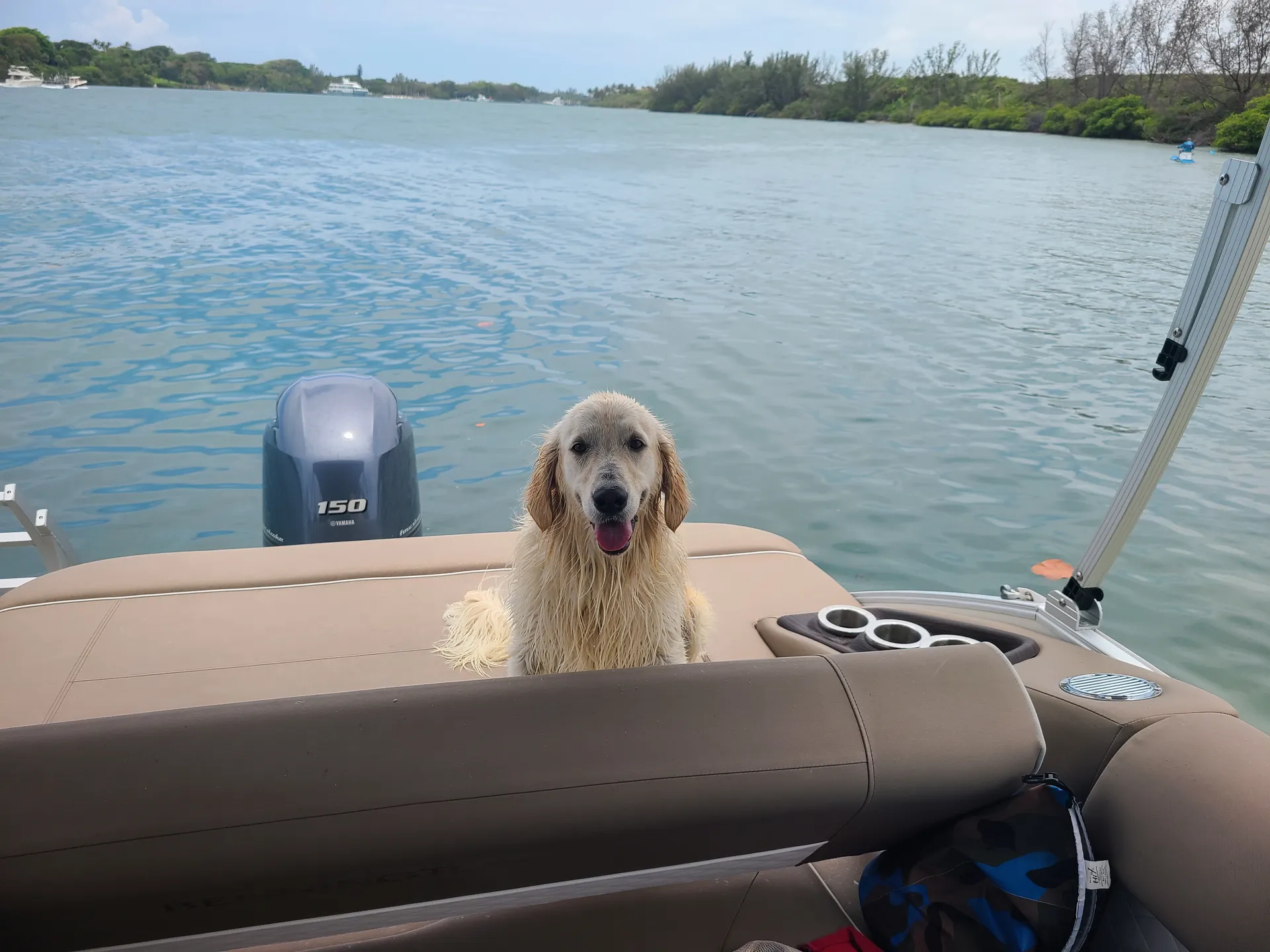 Bennington Marine PH1088388 in Jupiter, FL — photo 3