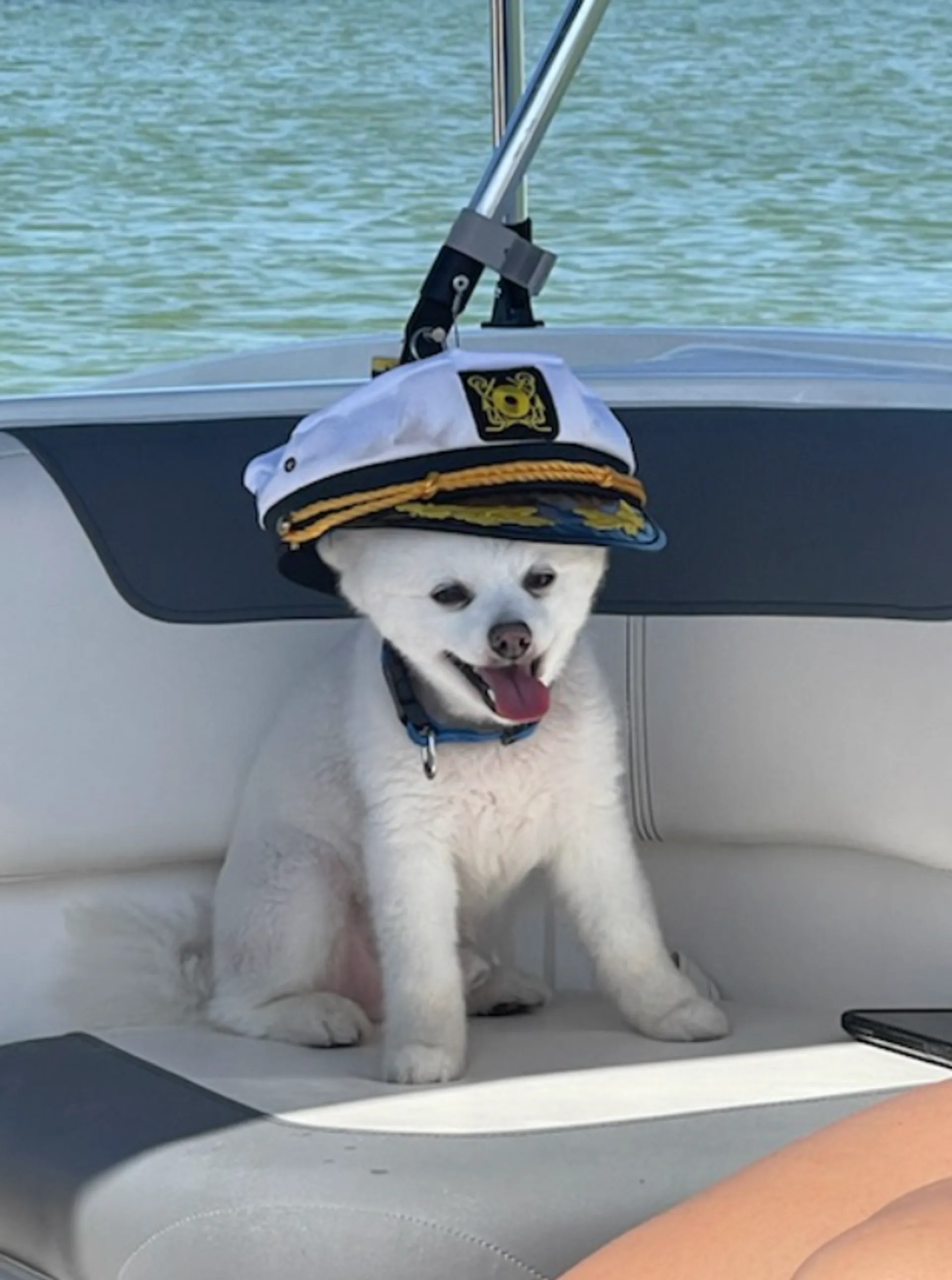 The Ultimate Clearwater Party Boat Clean Affordable Clean Bayliner 