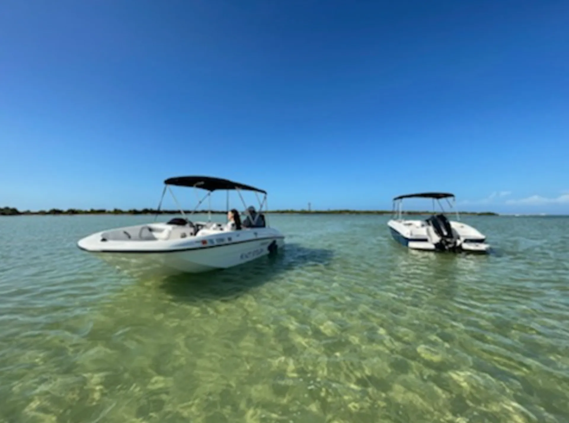 The Ultimate Clearwater Party Boat Clean Affordable Clean Bayliner 