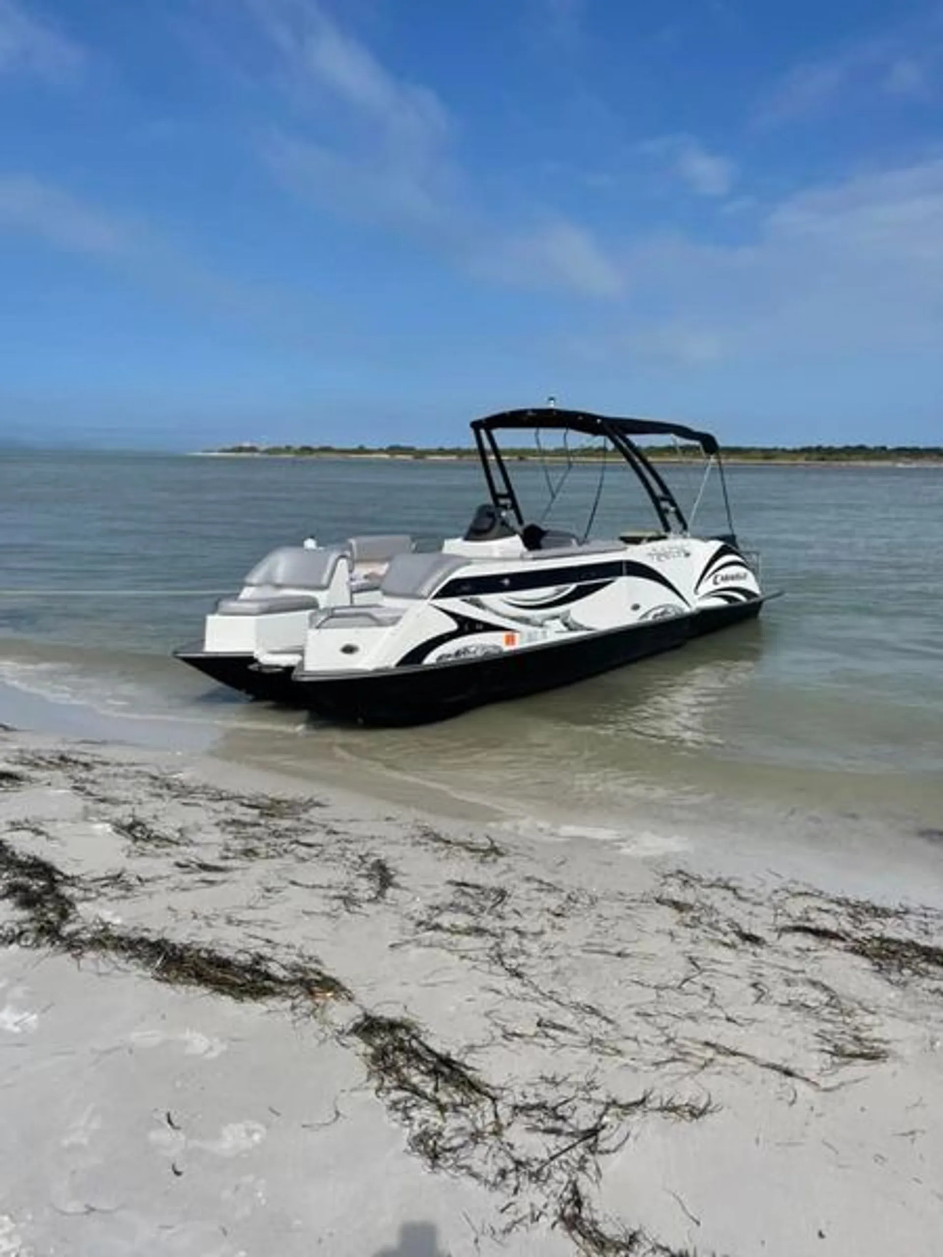 Caravelle Powerboats 25' Razor E-Toon in Clearwater, FL — photo 2