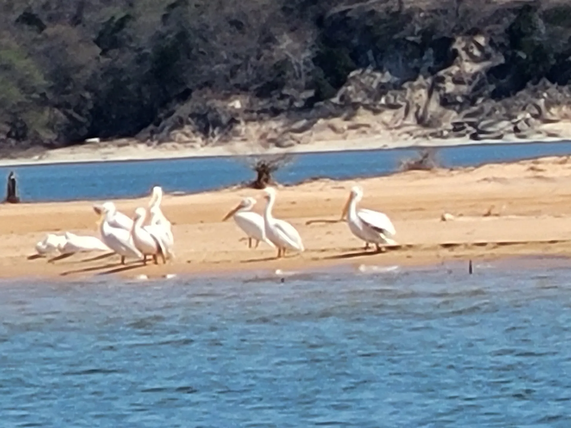 2021 Tritoon Ready for fishing, tubing & memories