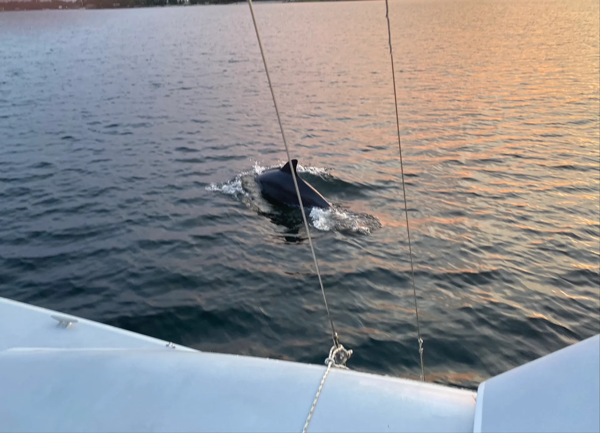 Stiletto 30  Sailing Catamaran in Shalimar, FL — photo 3