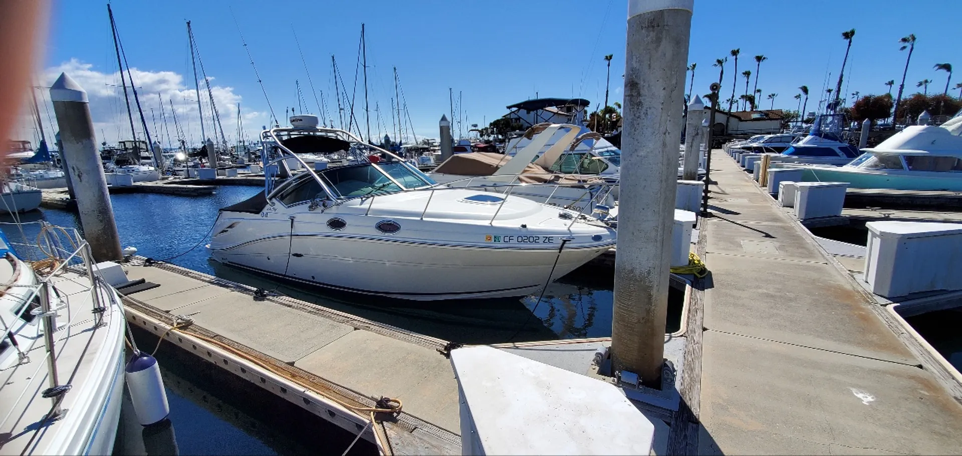 Sea Ray Boats 270 Amberjack in Huntington Beach, CA — photo 2