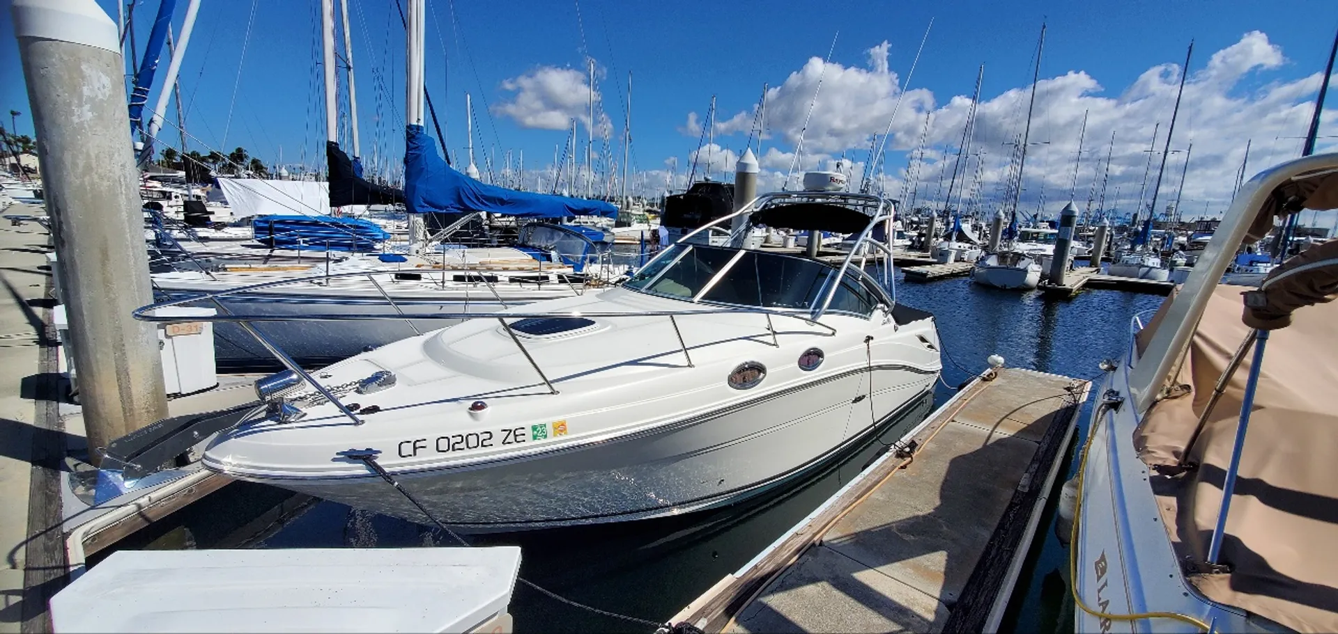 Sea Ray Boats 270 Amberjack in Huntington Beach, CA — photo 10