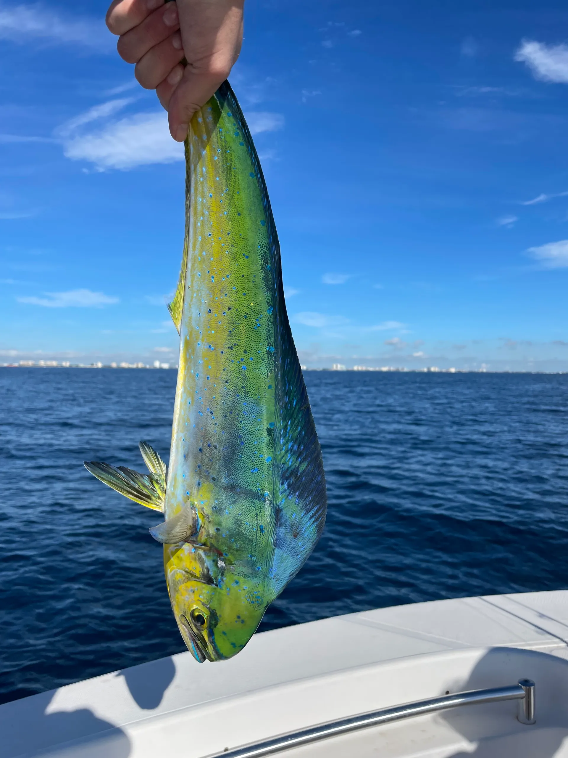 Angler Boats 2600CC w/Z200TXR Yam in Key Largo, FL — photo 6