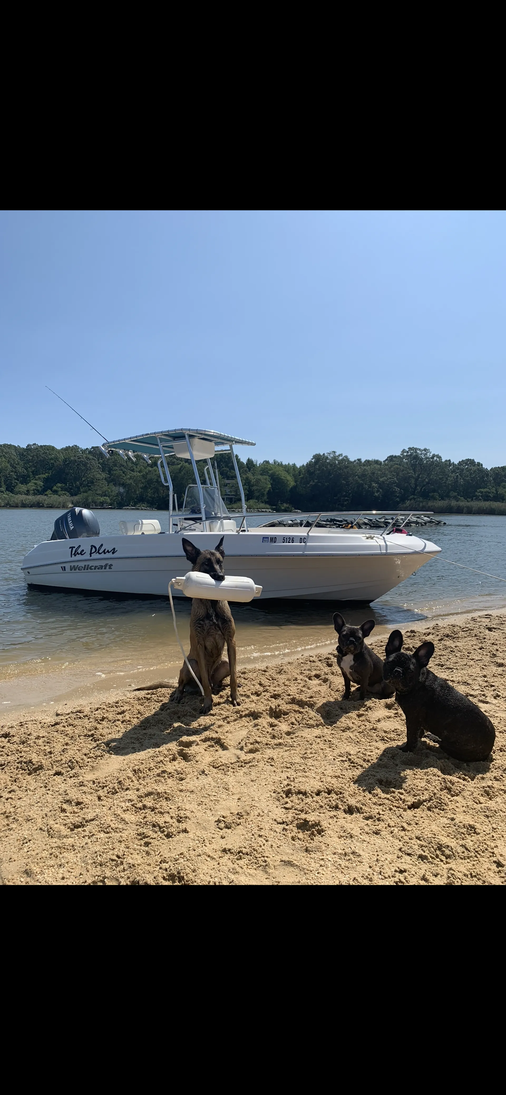 26’ Sea Fox w/ Restroom - Bachelor-ette Parties!!!