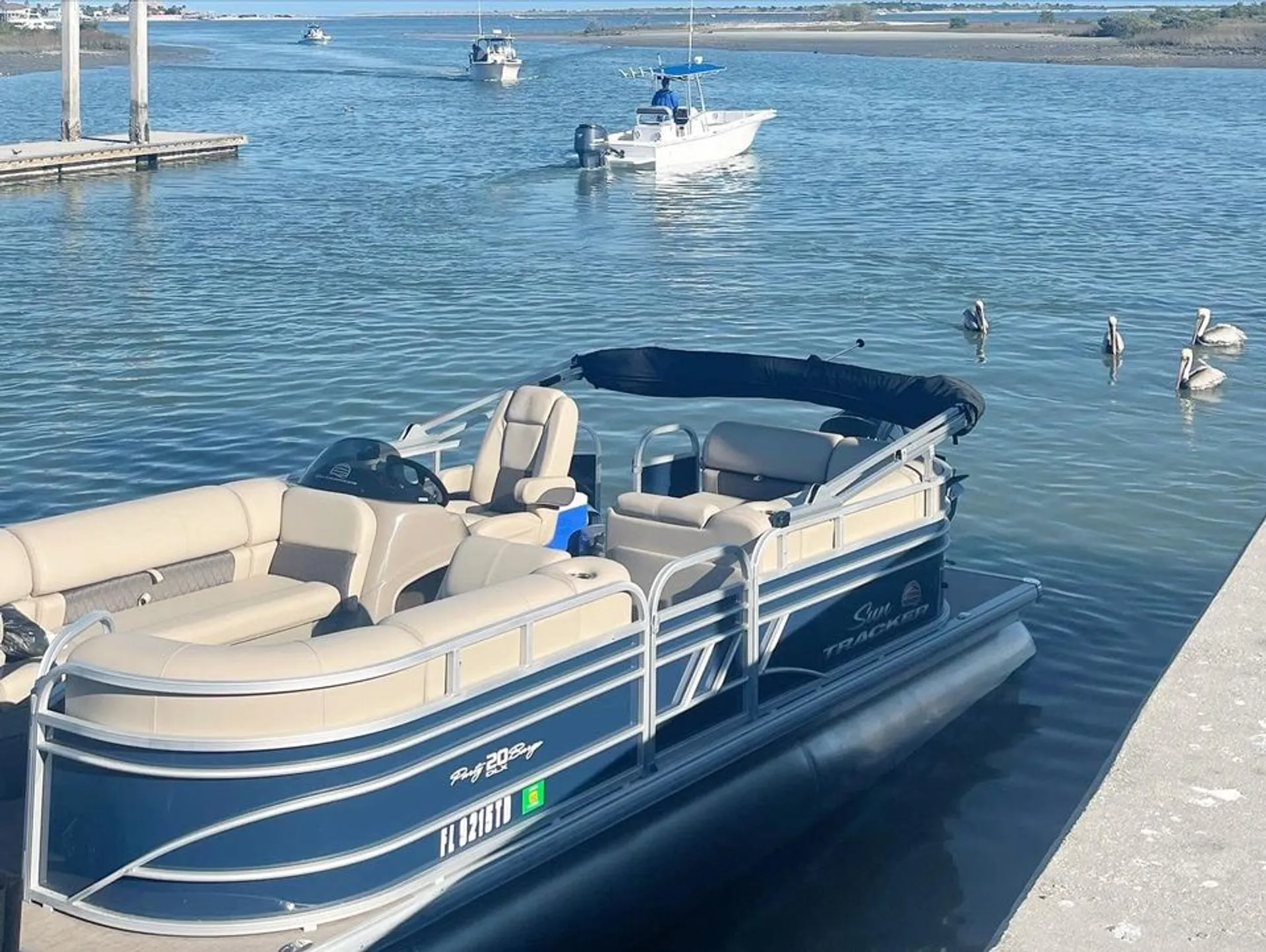 Private charter,bachelorette,family,bachelor,friends,dolphins, sunsets