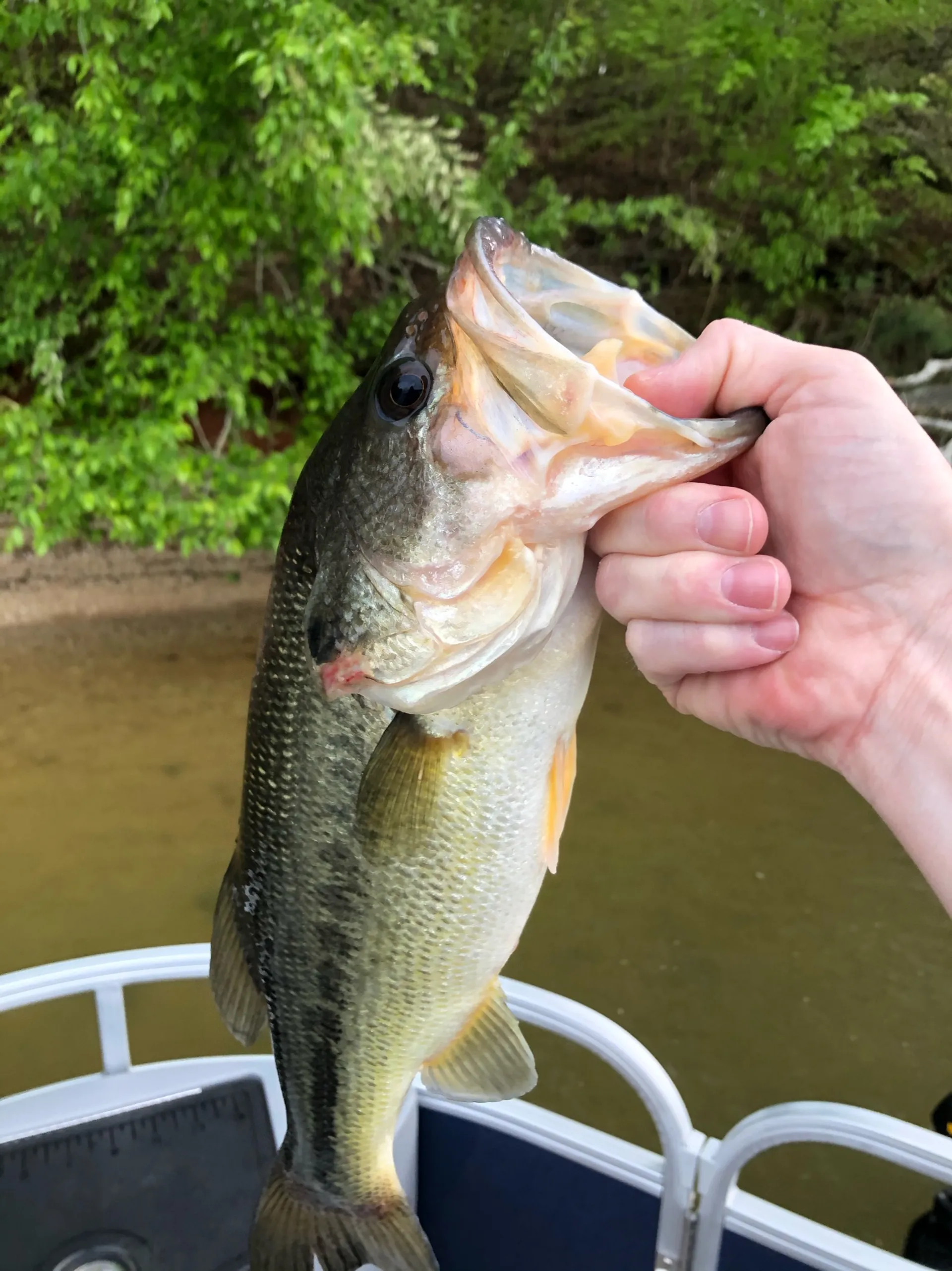 Ranger Pontoon For Fishing or Tubing!!
